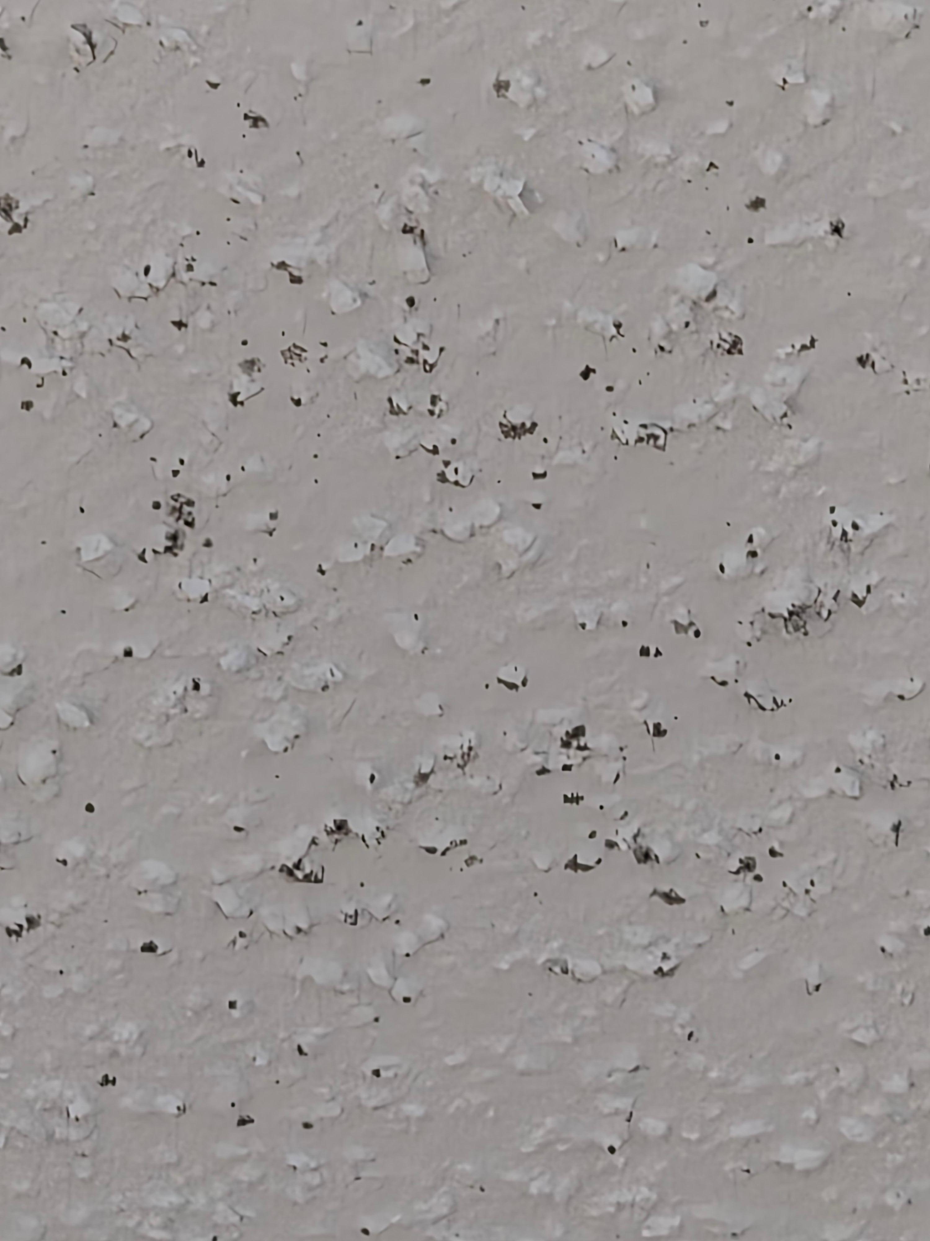 Mold on ceiling