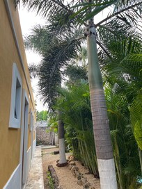 Inside the hotel area