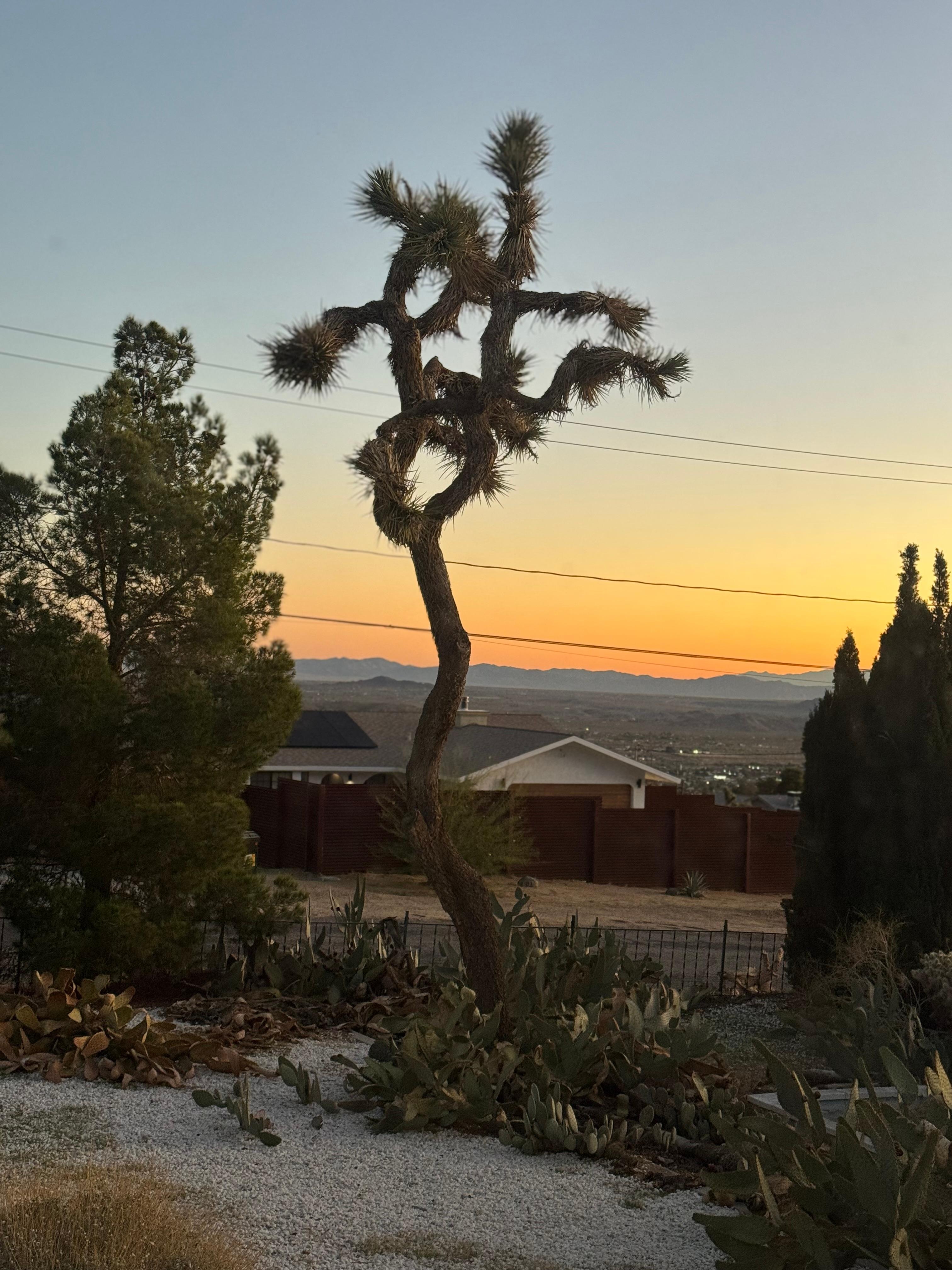 From the living room. 