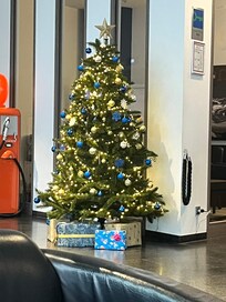 飾られたクリスマスツリー