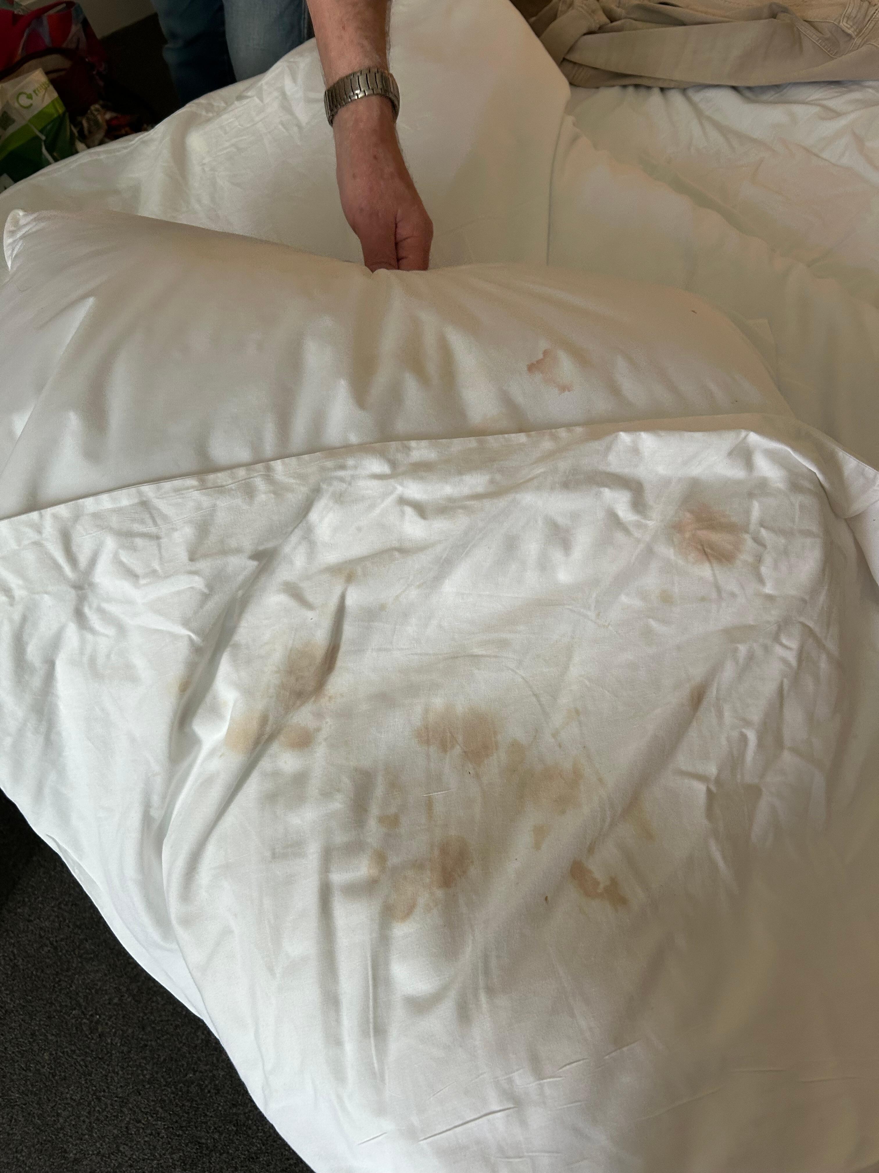 Pillow and pillow case found in the bottom of the wardrobe . 