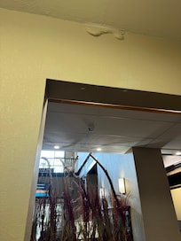 Water filled paint bubble above doorway to ice machine.