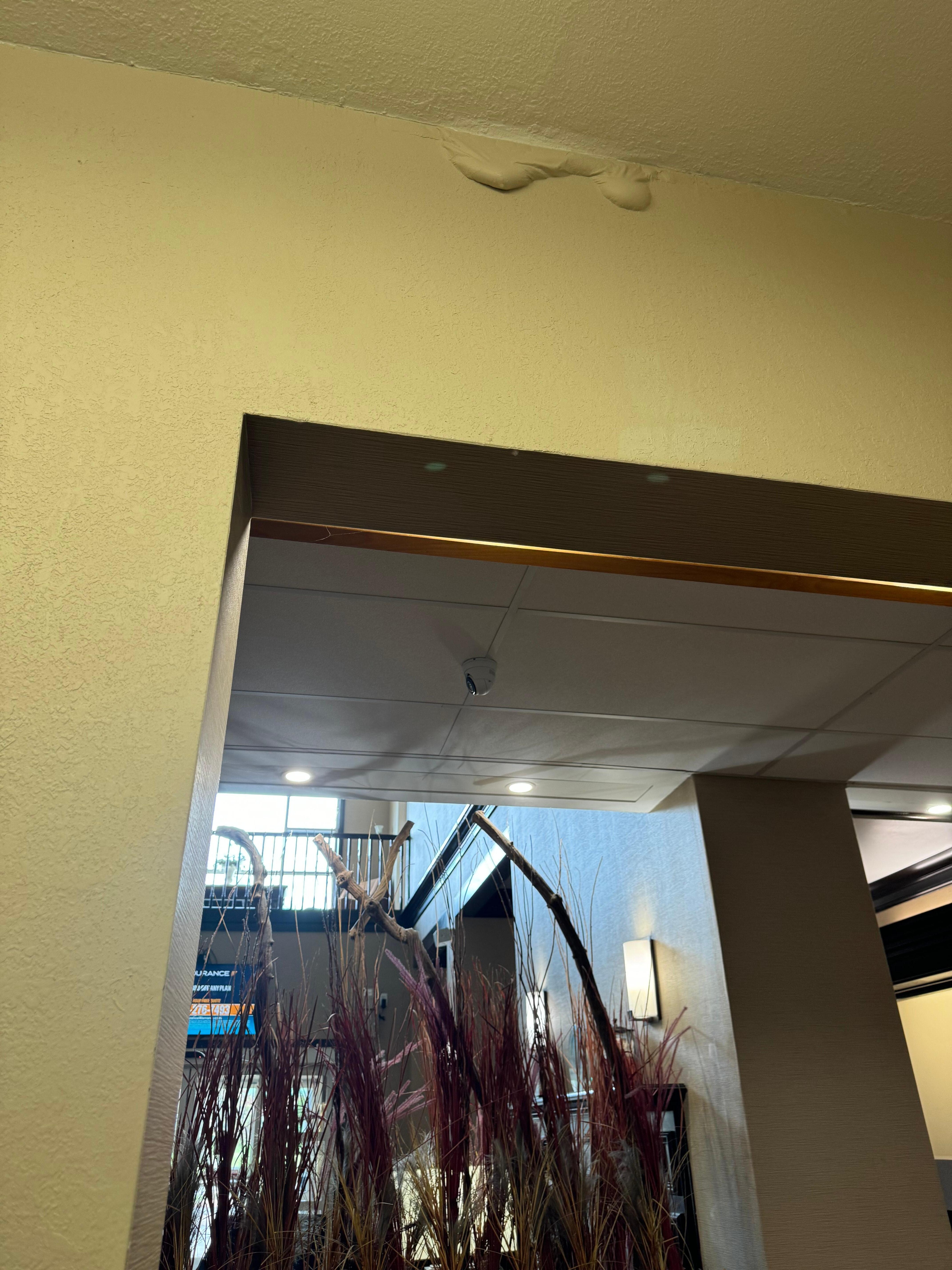Water filled paint bubble above doorway to ice machine.