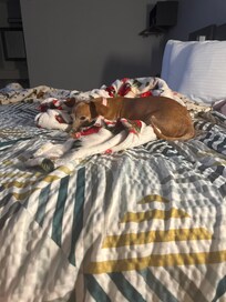 Punky enjoyed her stay also