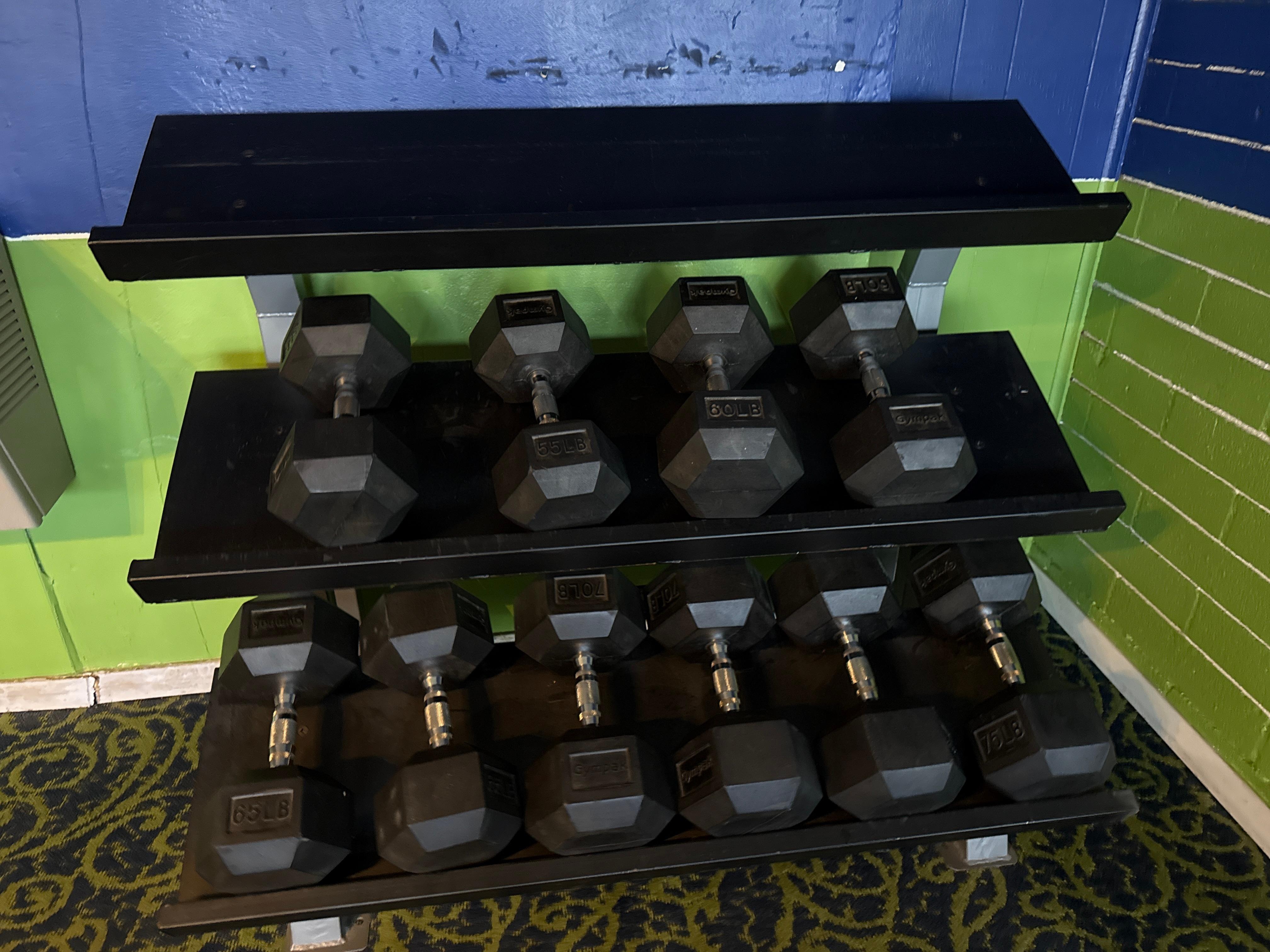 No dumbbell weights under 50 pounds