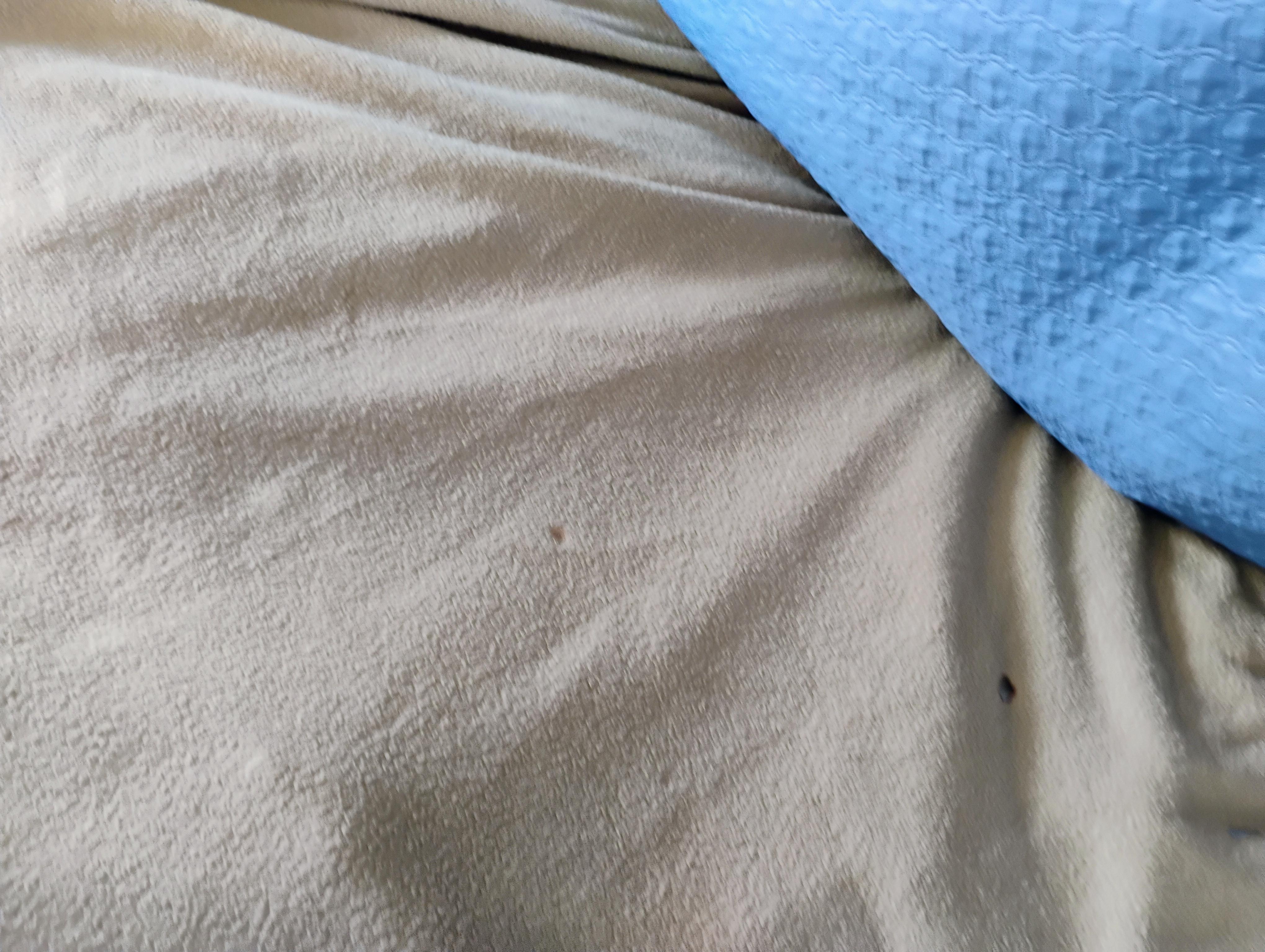 Cigarette 🚬 burns in the sheets 