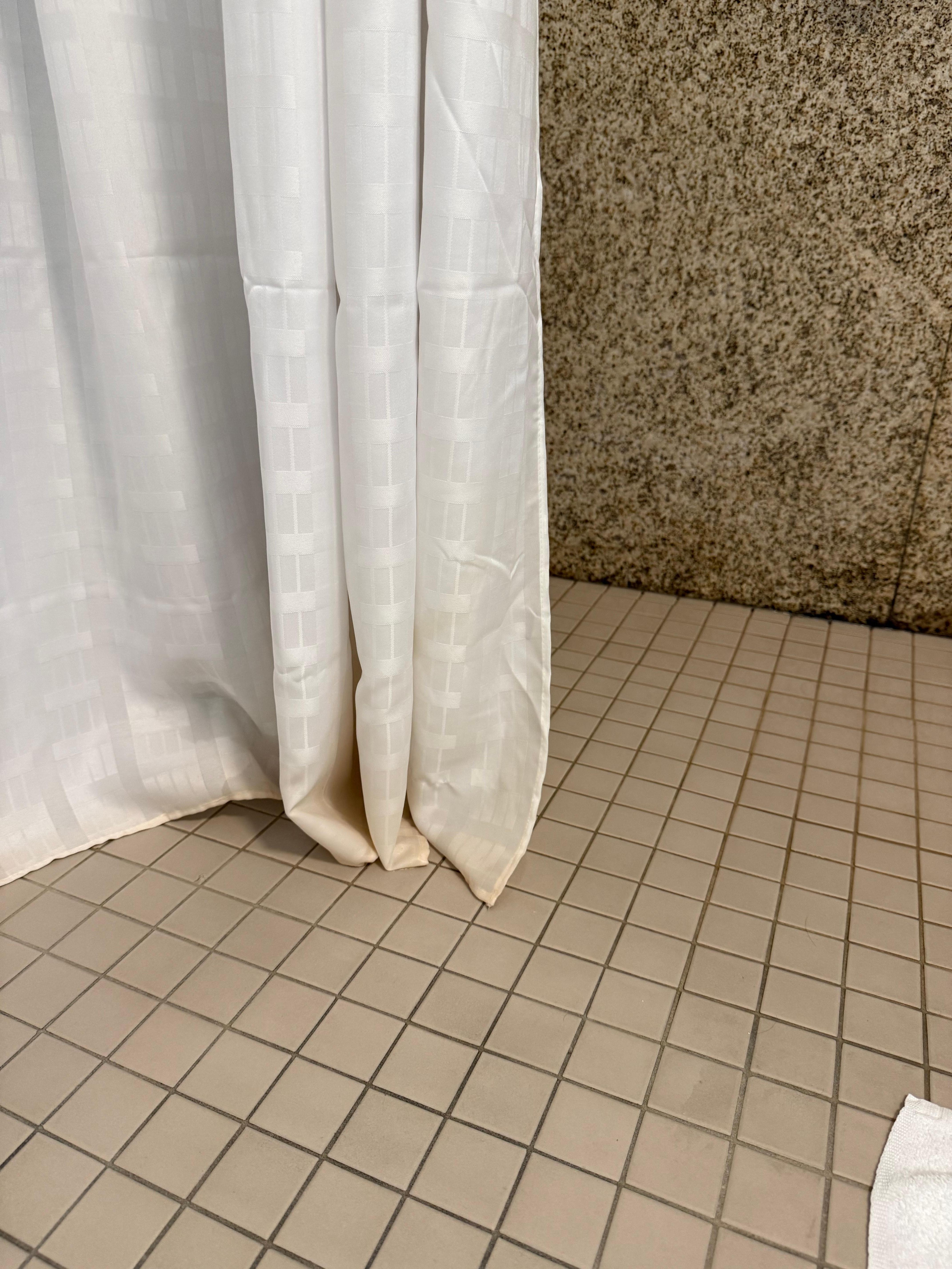 The old shower curtain 