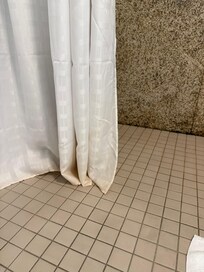 The old shower curtain