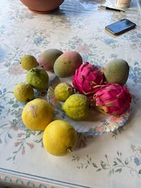 A selection of exotic fruits from the garden awaited our arrival.