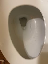 Toilet was dirty