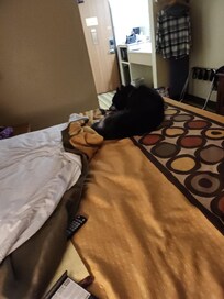 My only immediate family was comfortable and relaxed and beside me!