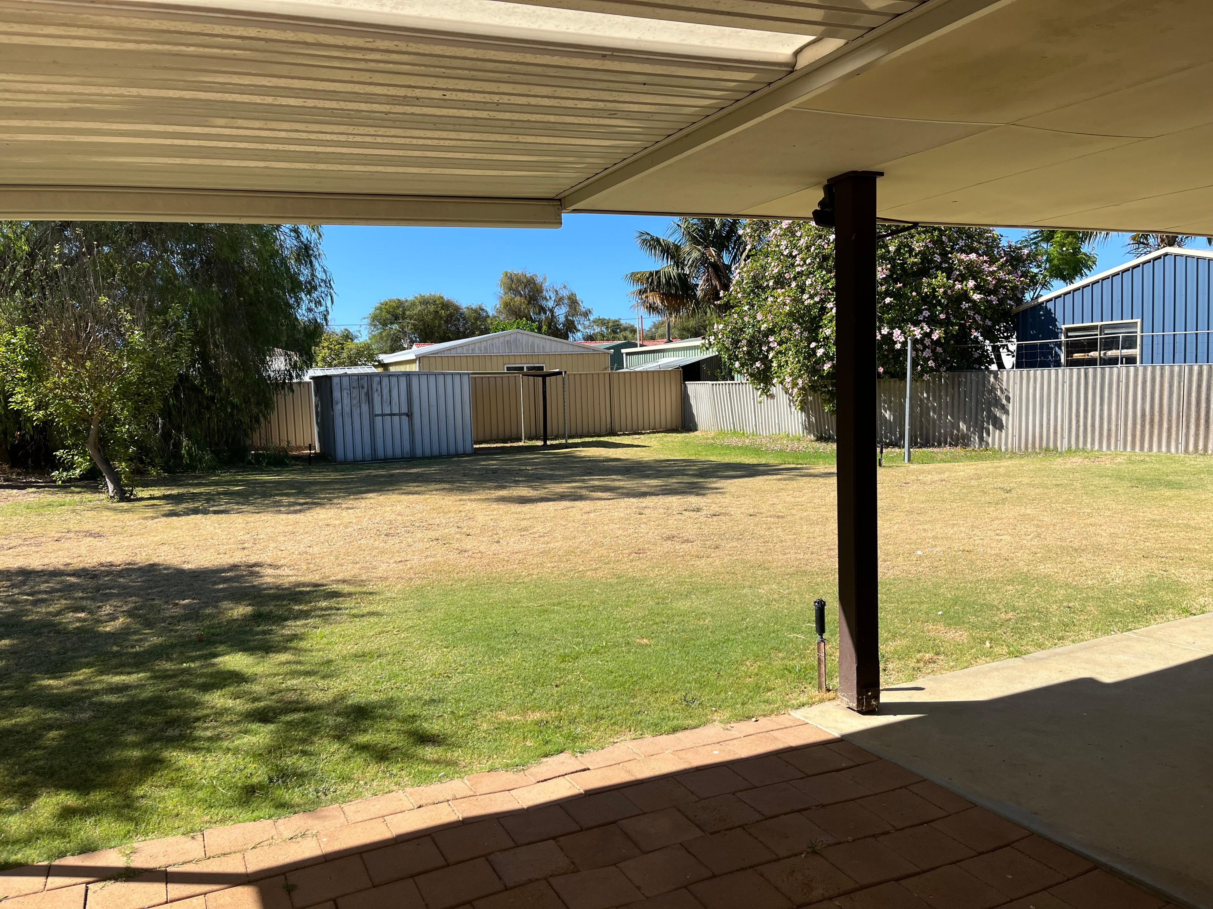 Huge doggies dream backyard 