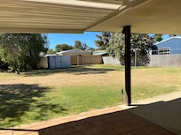 Huge doggies dream backyard