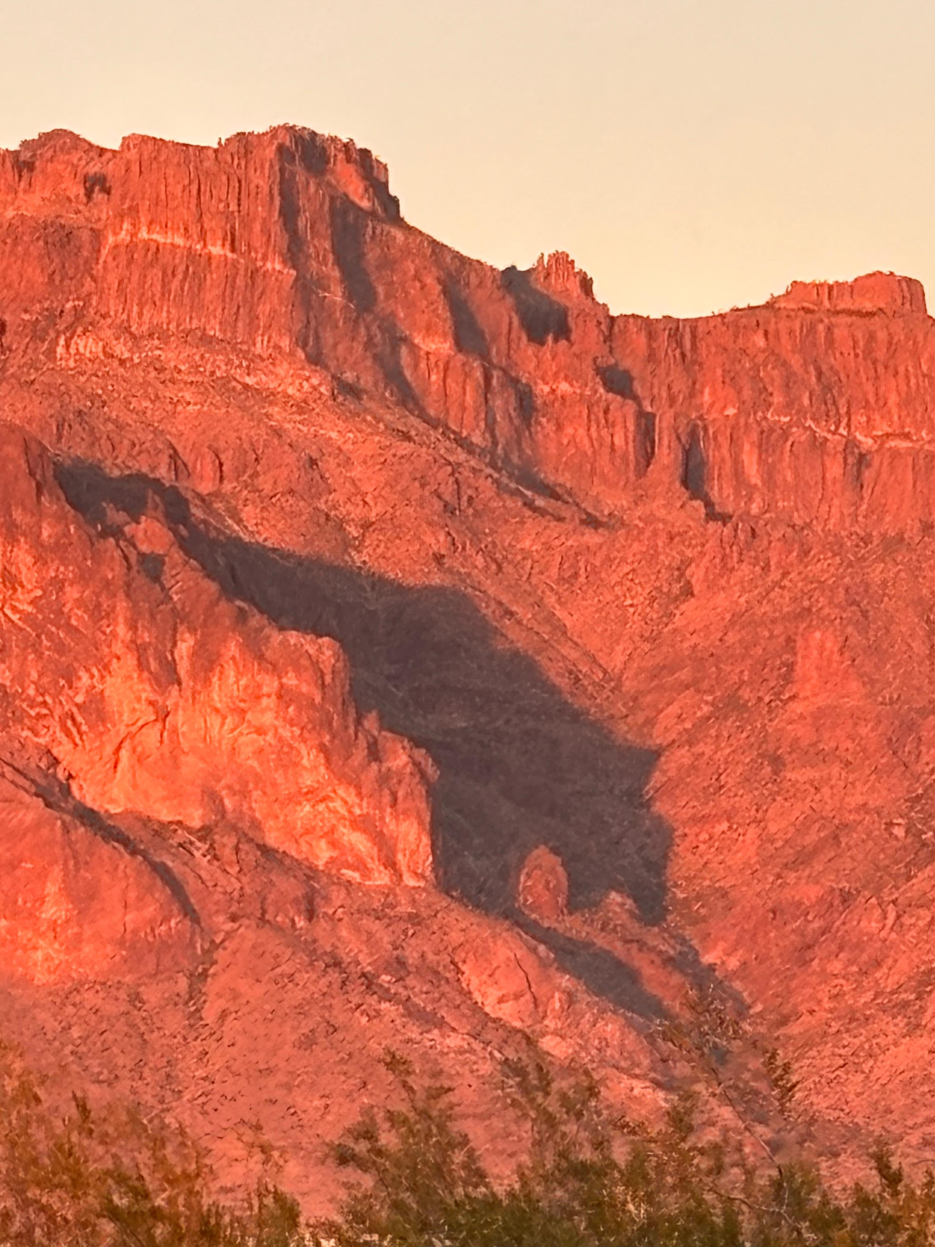 Superstition mountain cougar