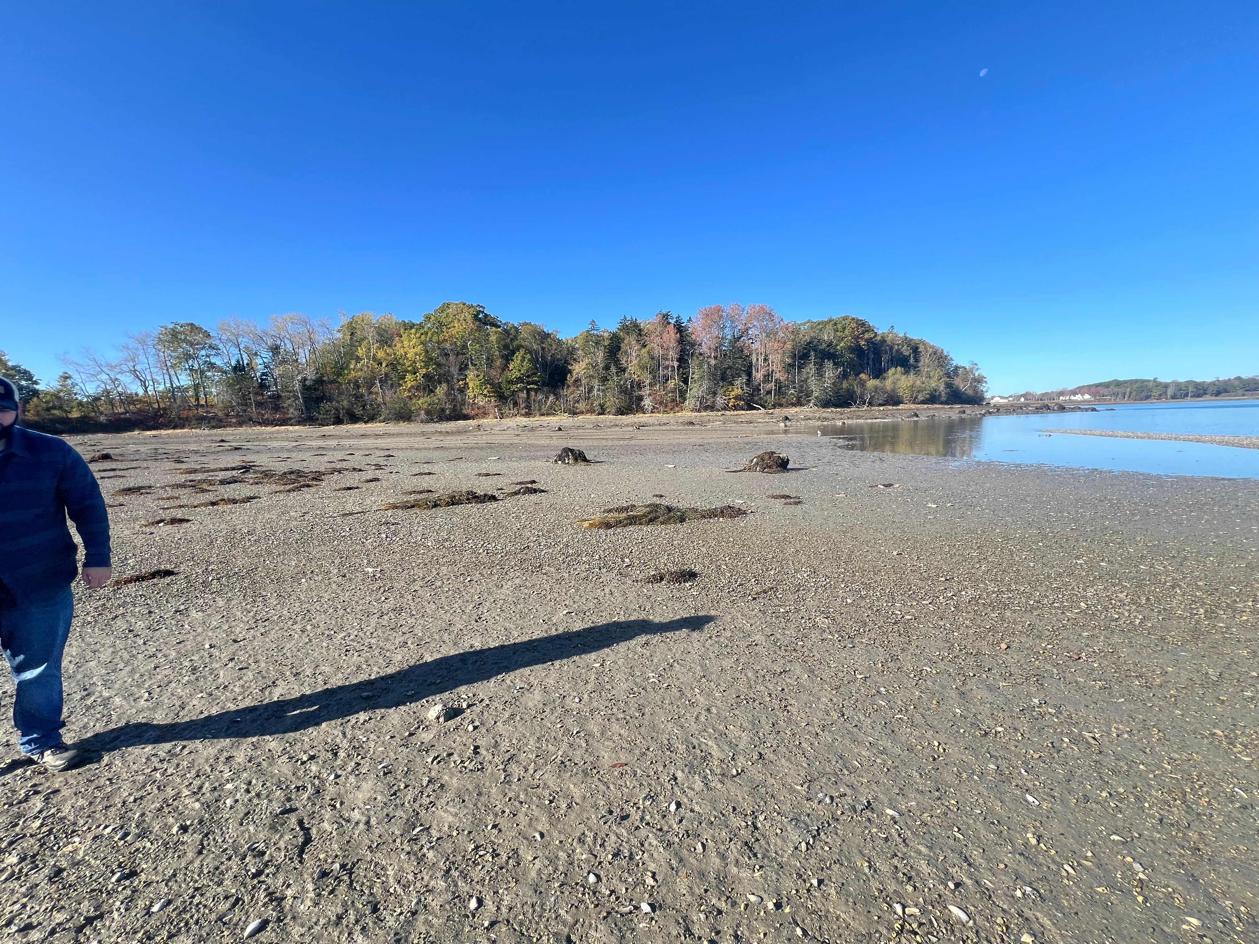 Low ride coastal exploring