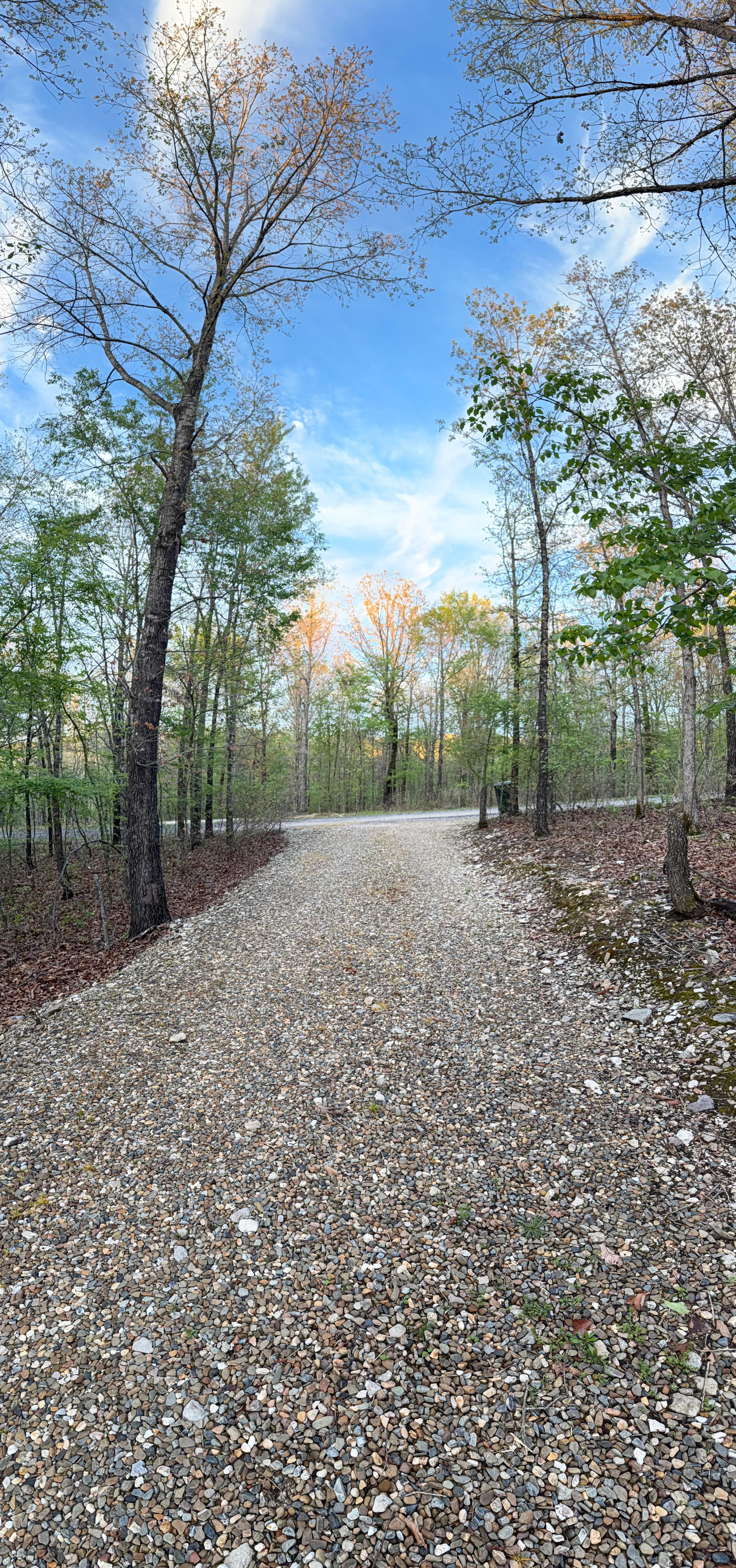 Gravel road leading to cabin, facing the road.