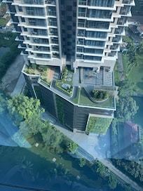 Window view