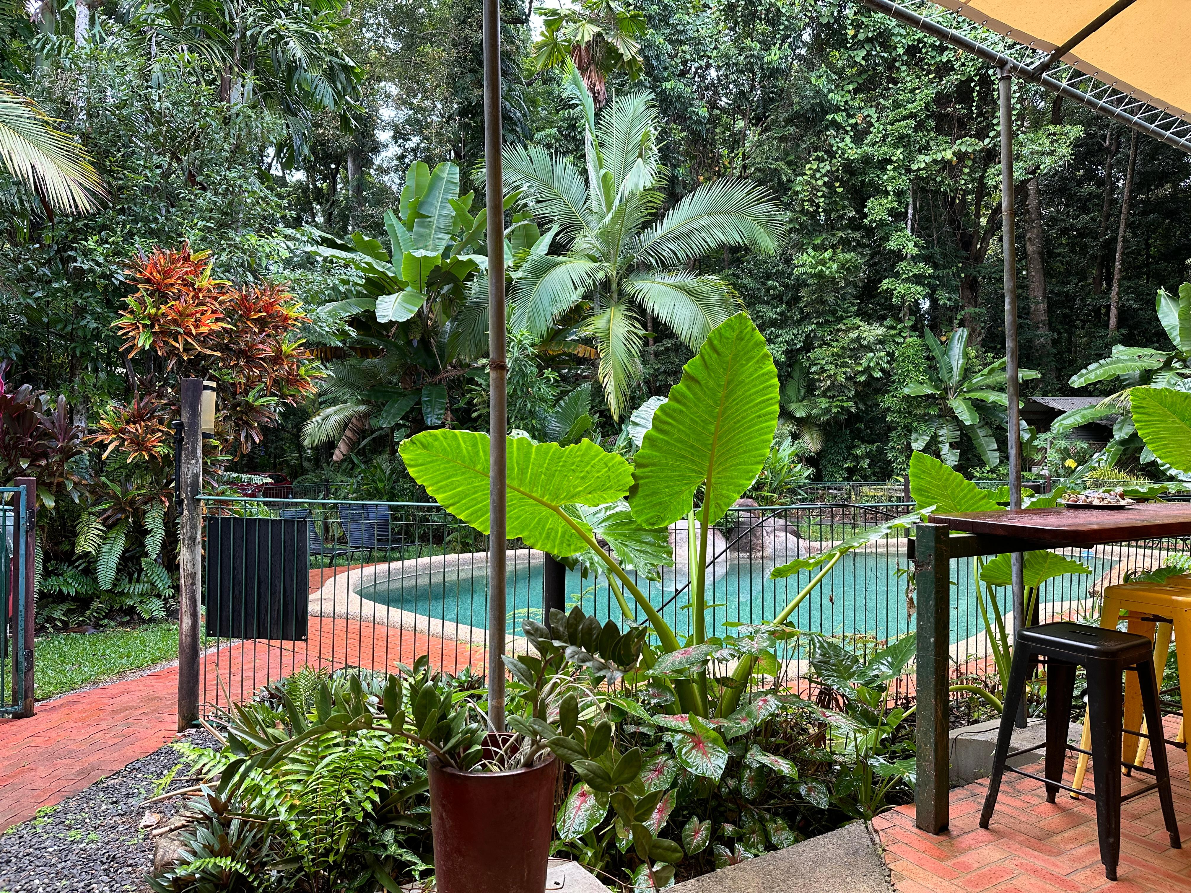 Pool view from the camp kitchen