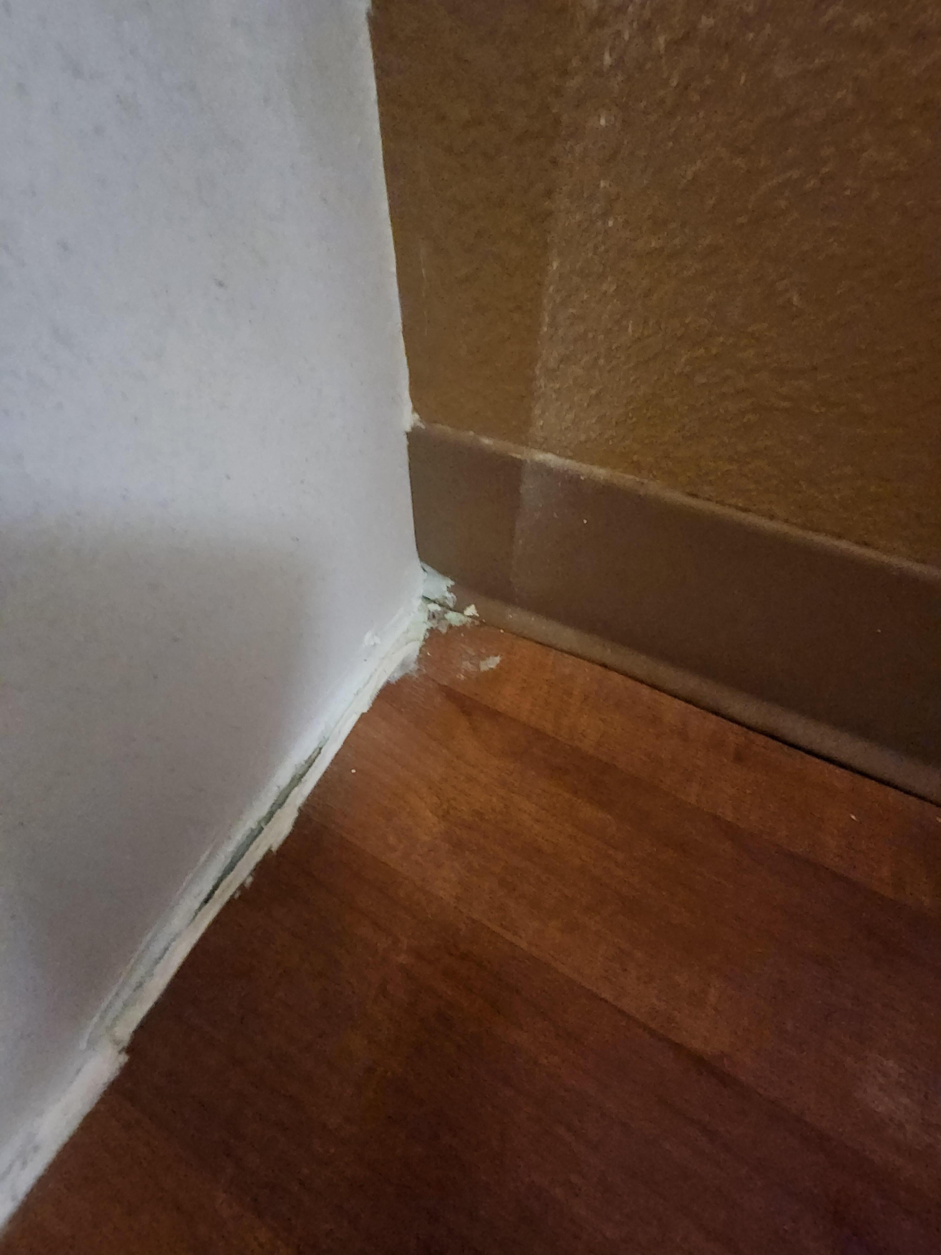 Mold 