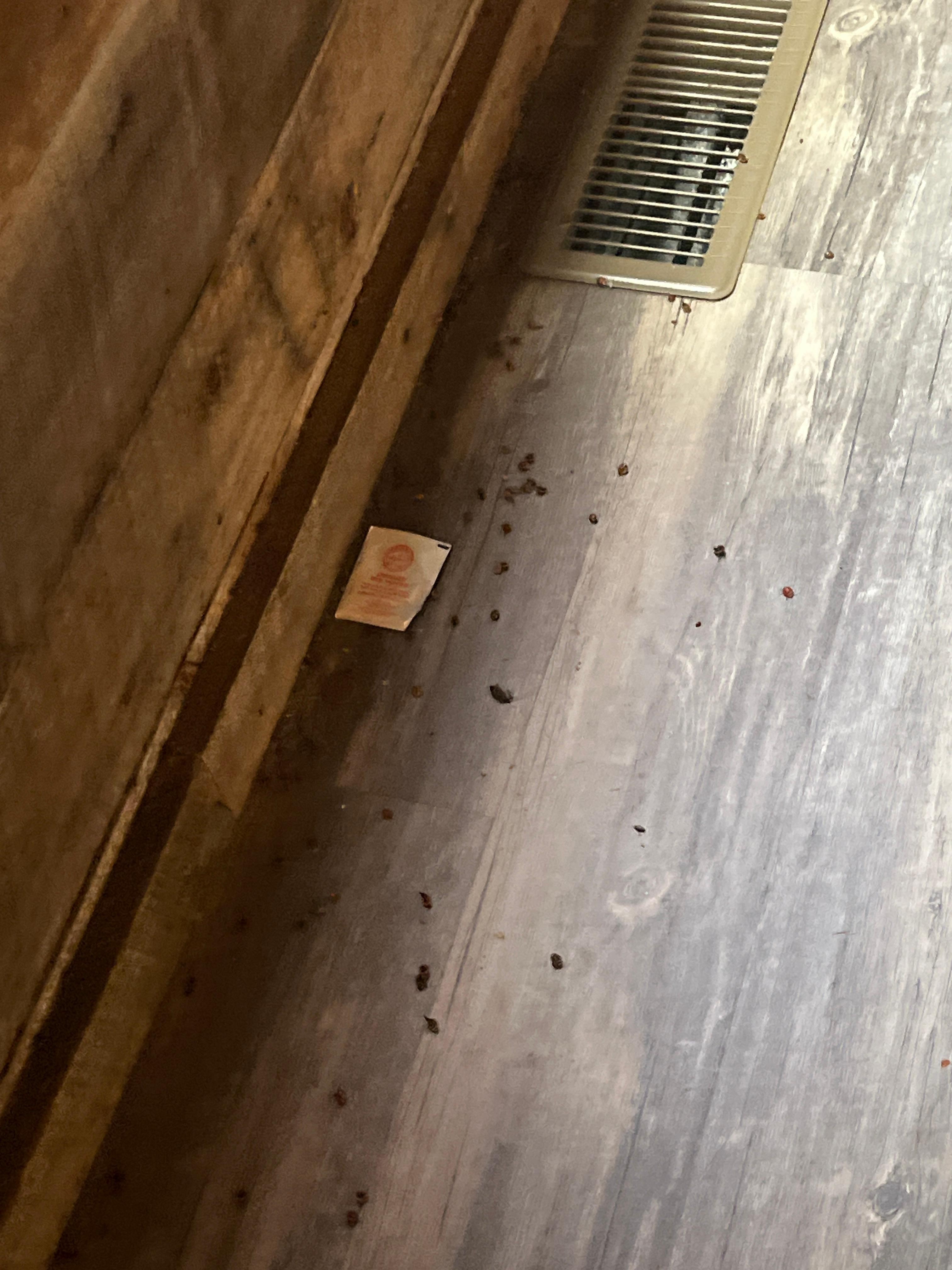 Yes some are expected in fall. It’s winter, 