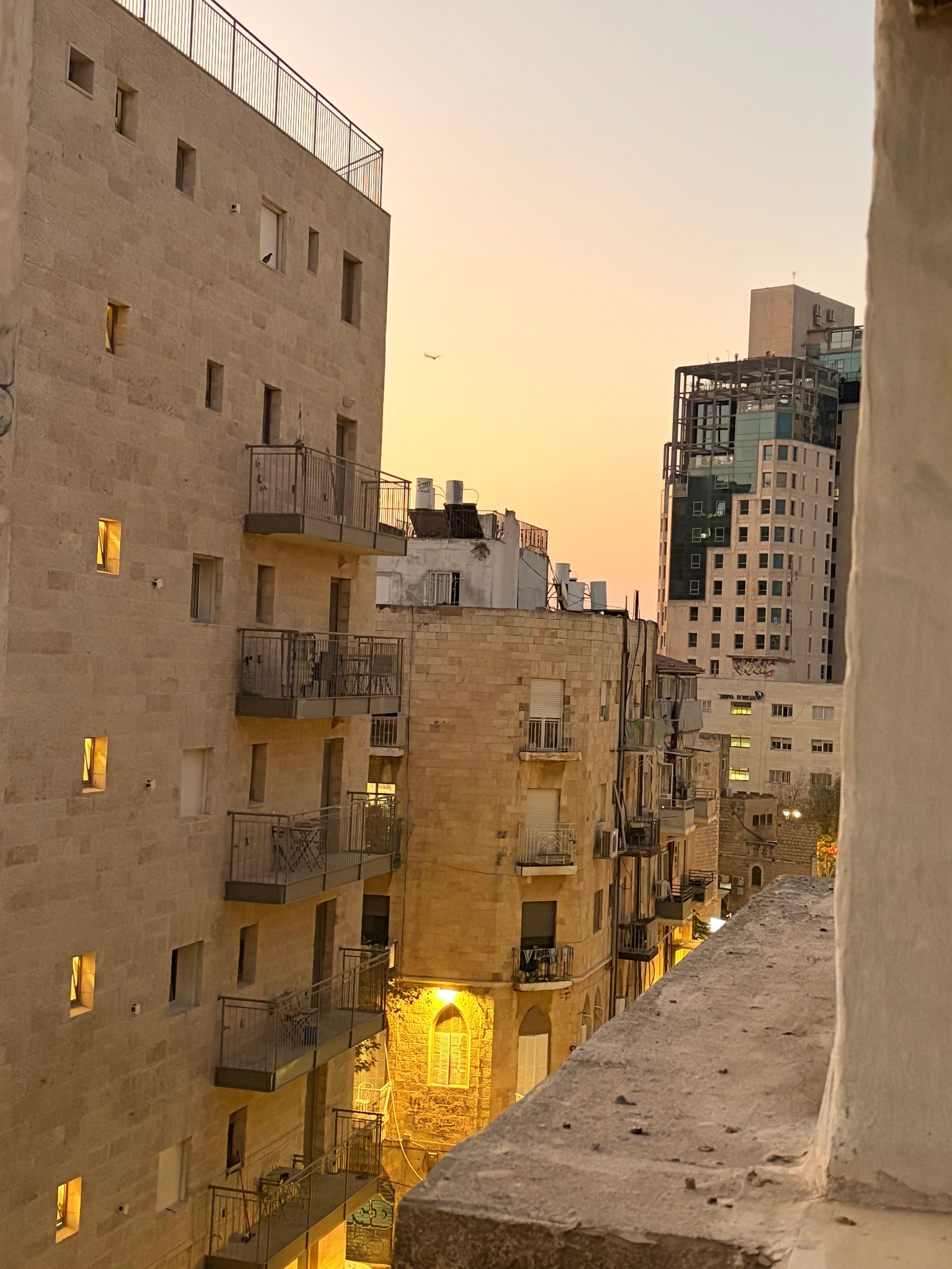 Morning view from Family Suite Living Room windows, looking right 