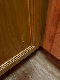 Obvious drops of egg on the front of kitchen cabinets from prior guests.