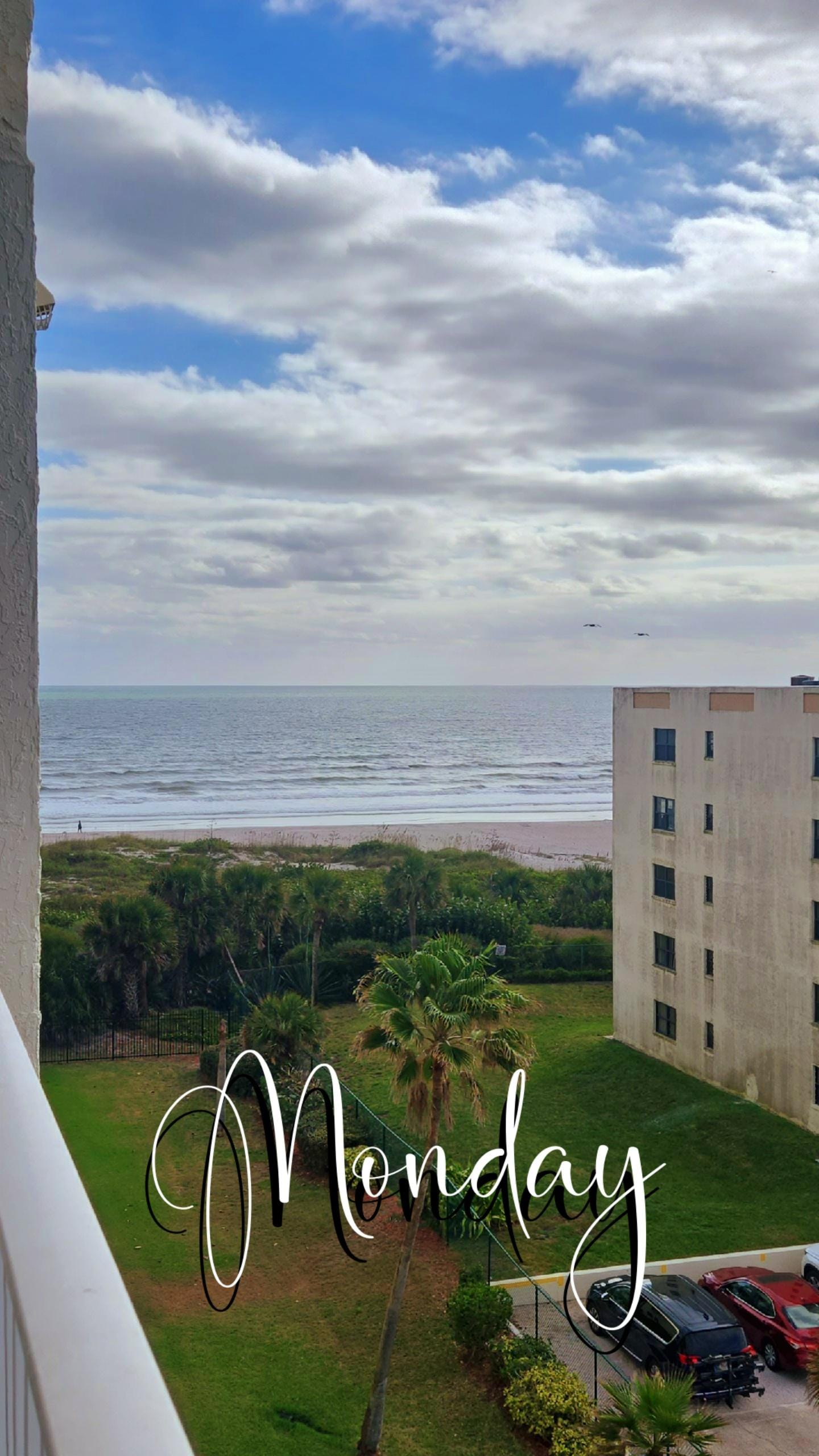 Amazing view of ocean