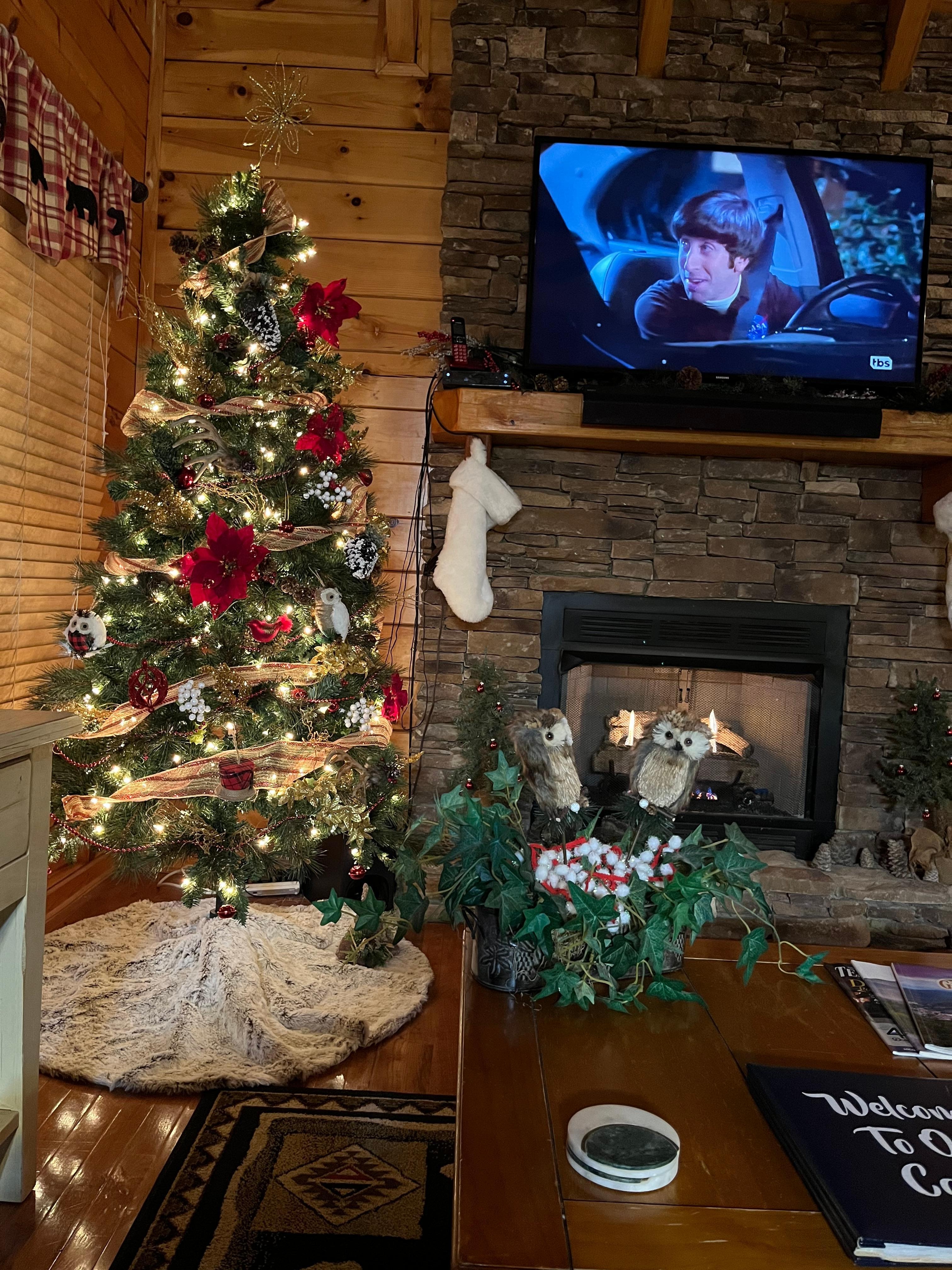 Beautiful tree next to the fireplace