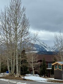 The view on my daily walk in the neighborhood.