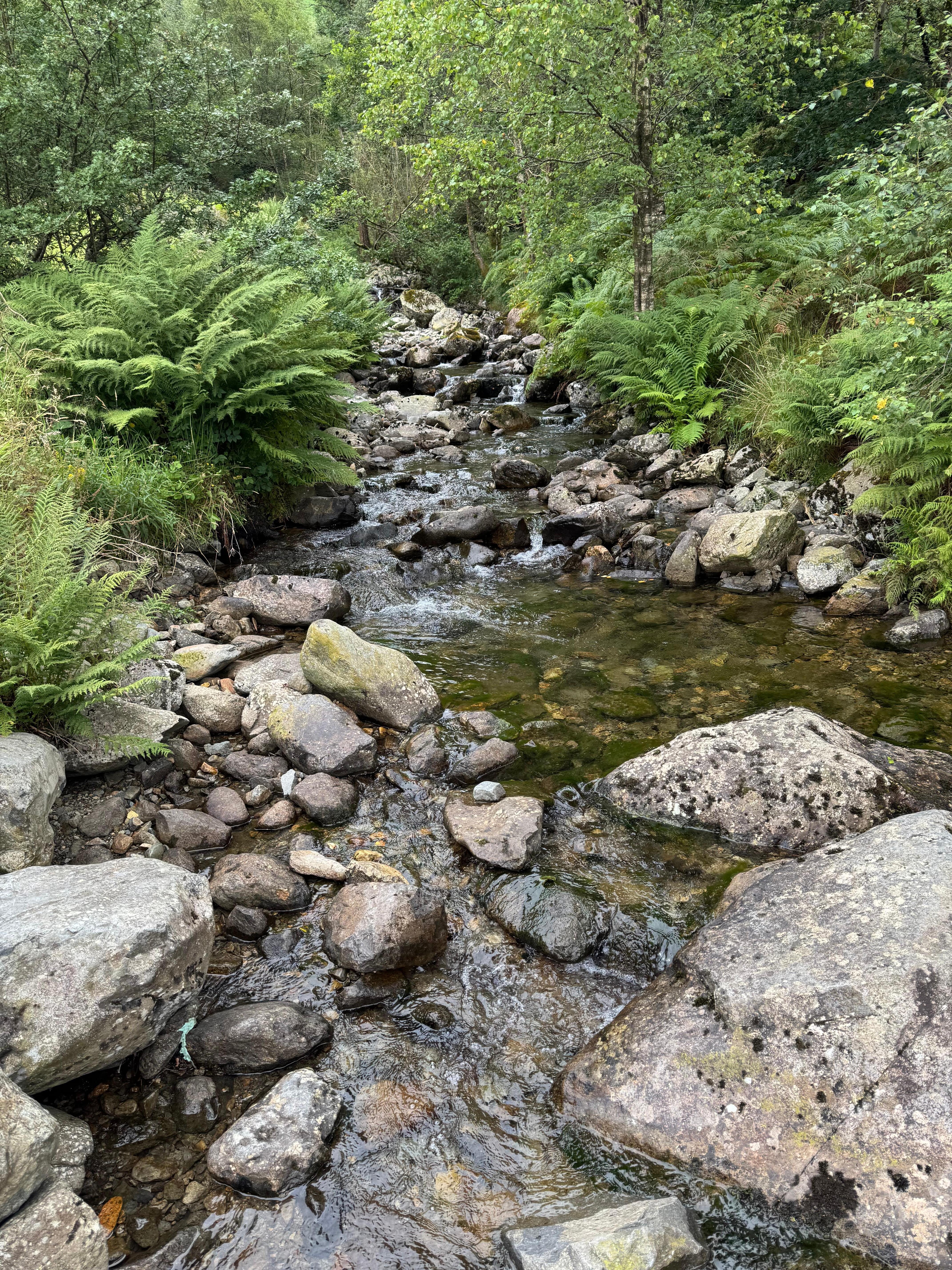 Stream in Thirlmere
