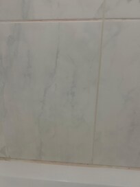 Red mold in Shower 1