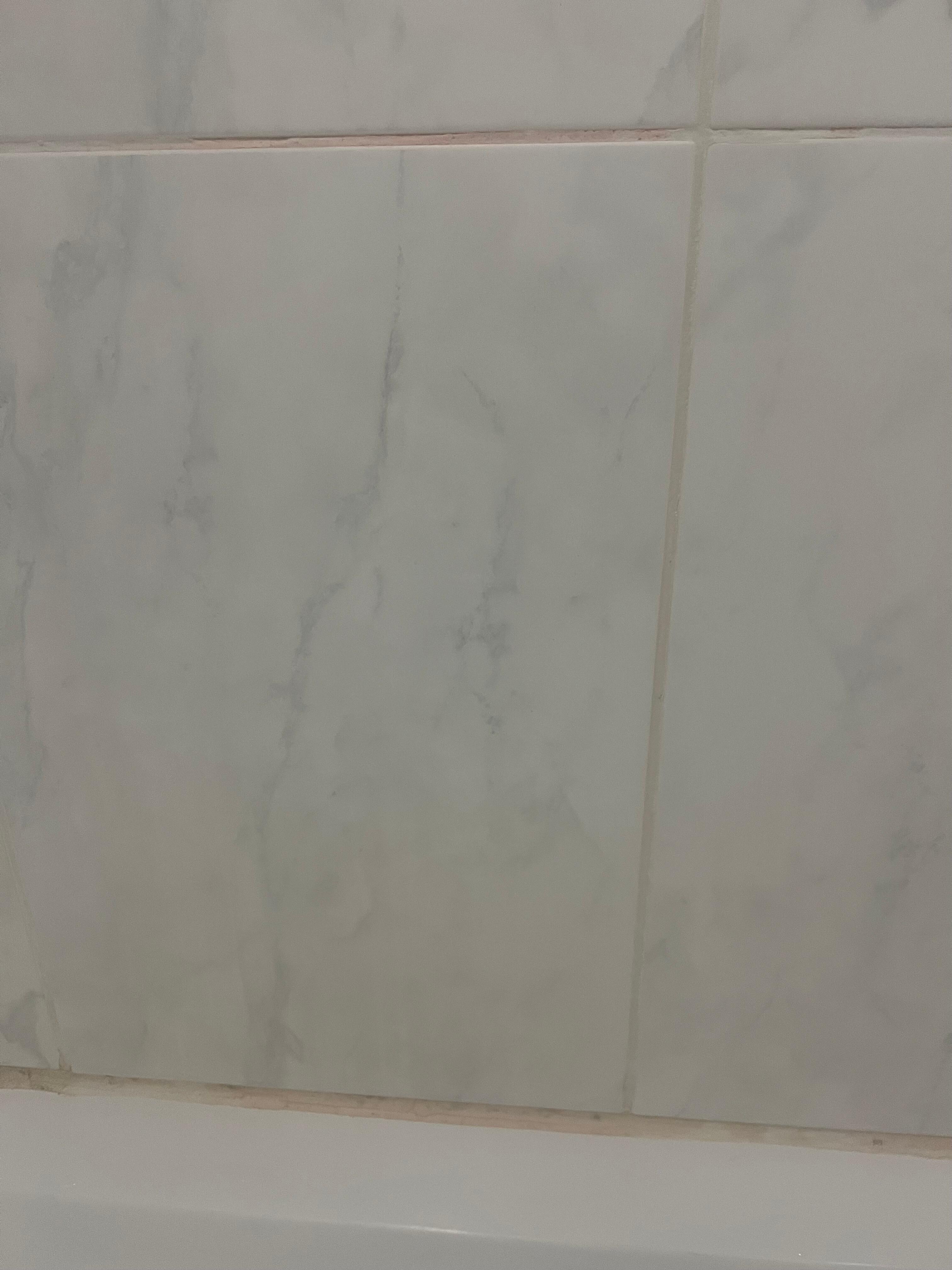Red mold in Shower 1