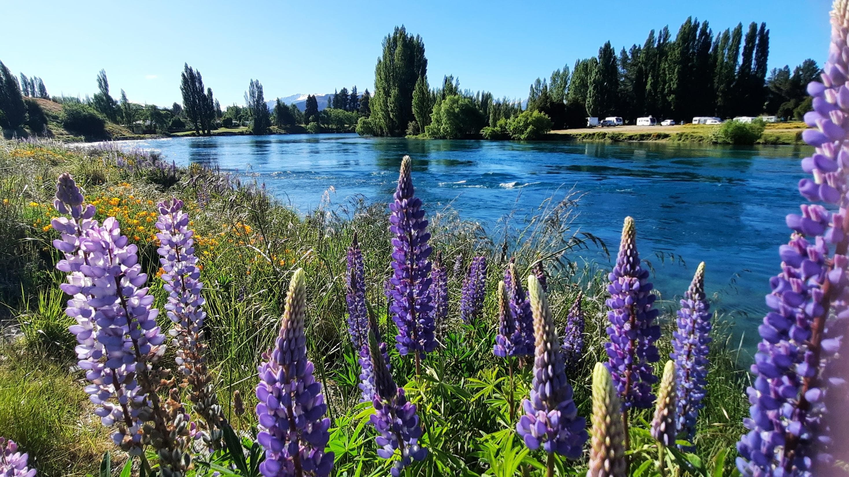 Lovely river walk 10mins from Ash St.