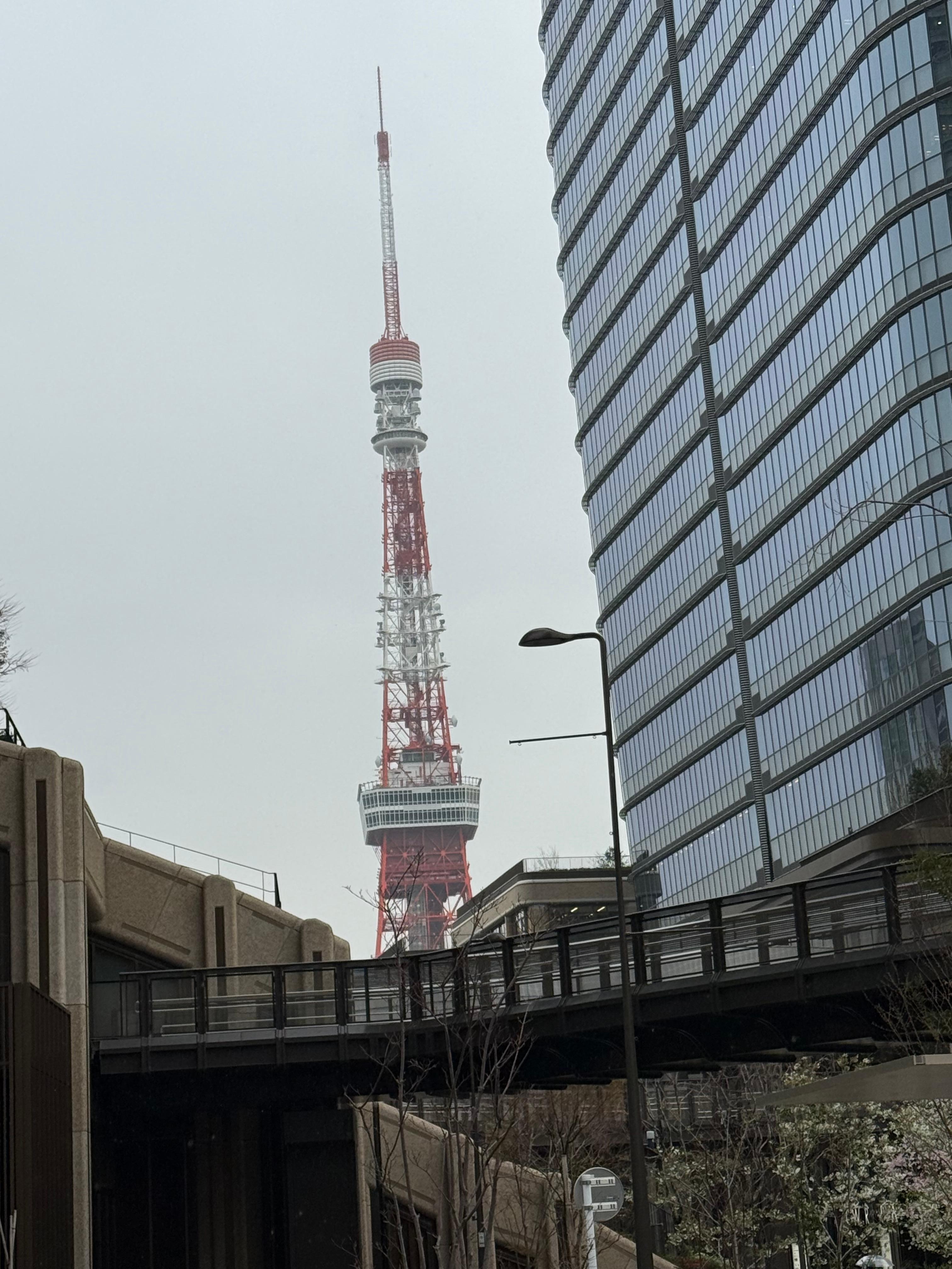 We had a view of the Skytree tower