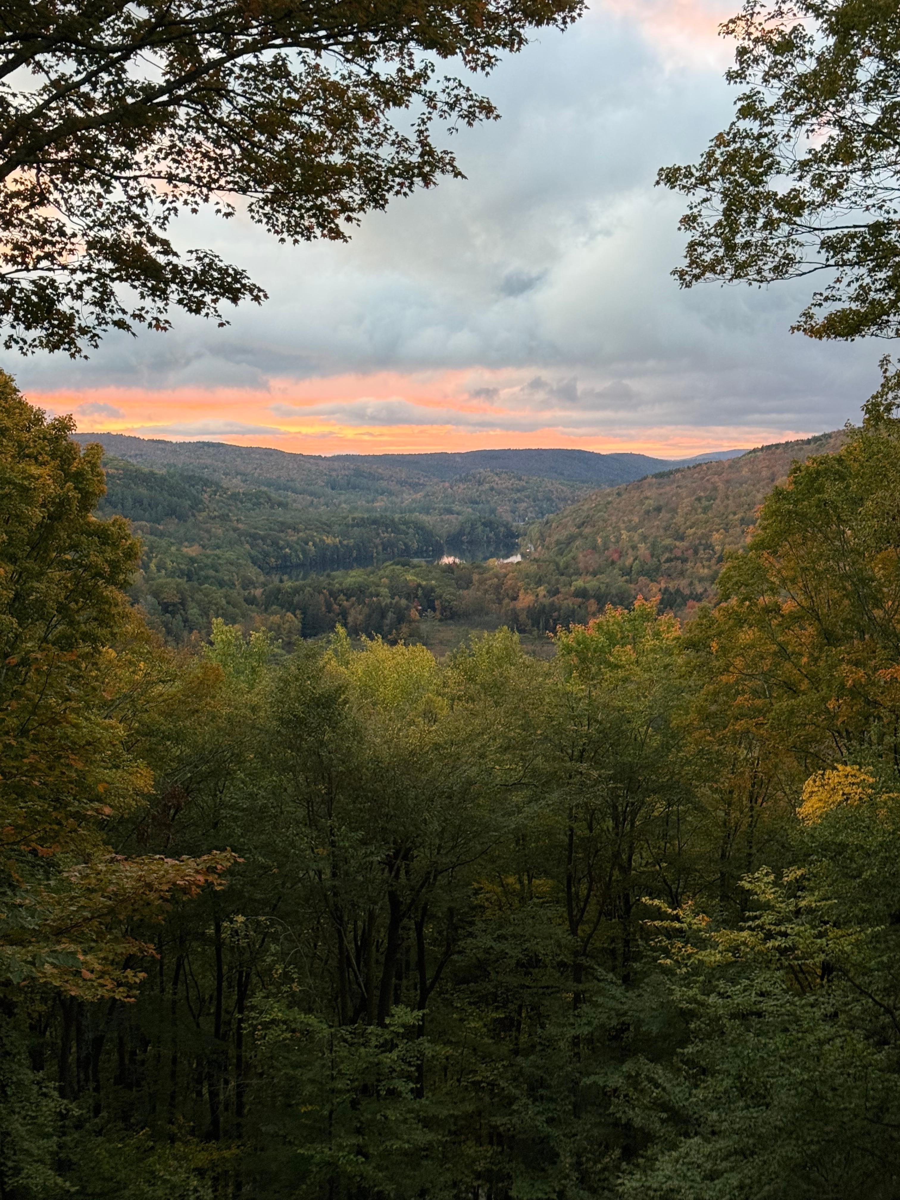 View from back deck, late September 