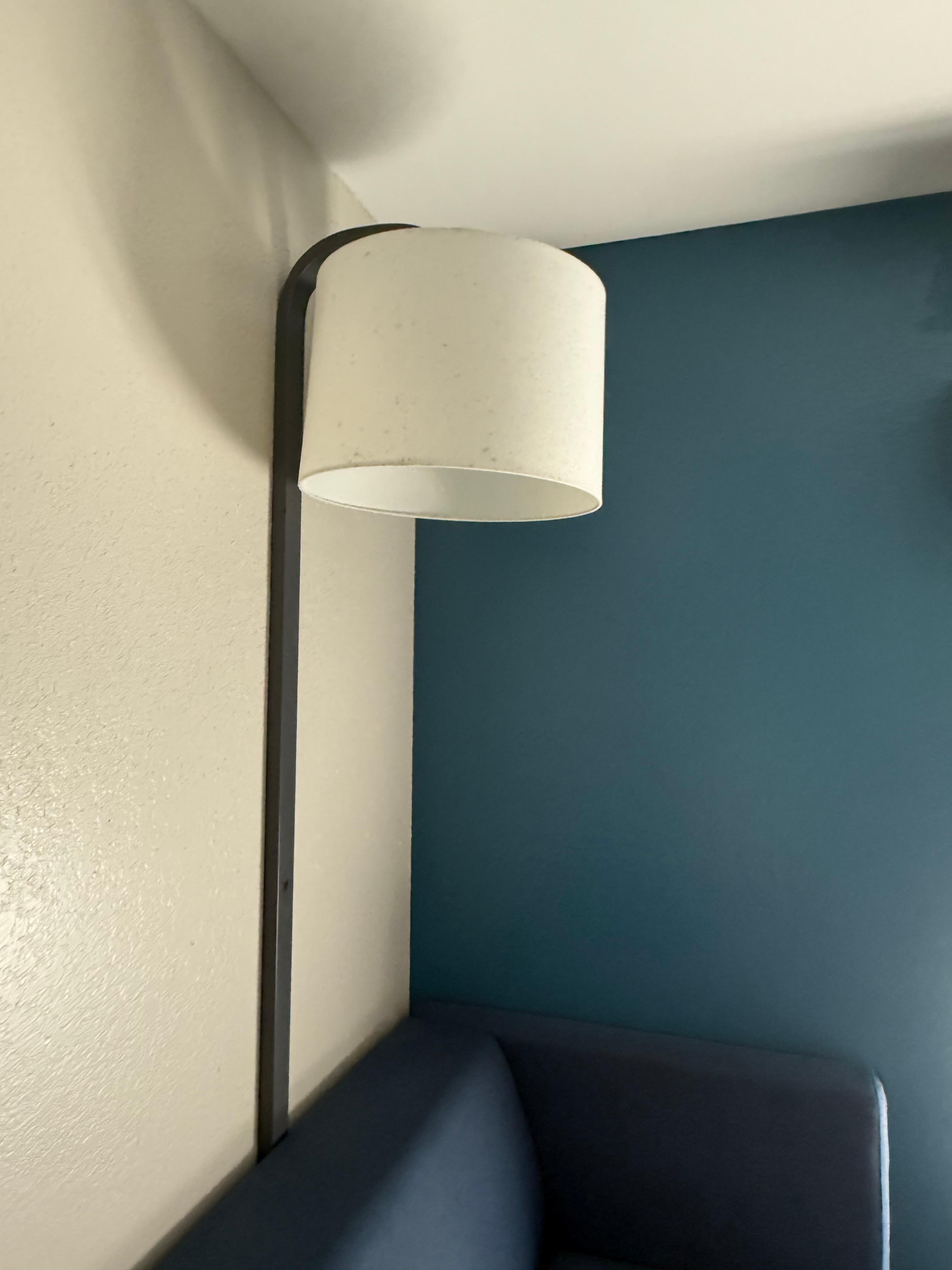 Moldy lampshade