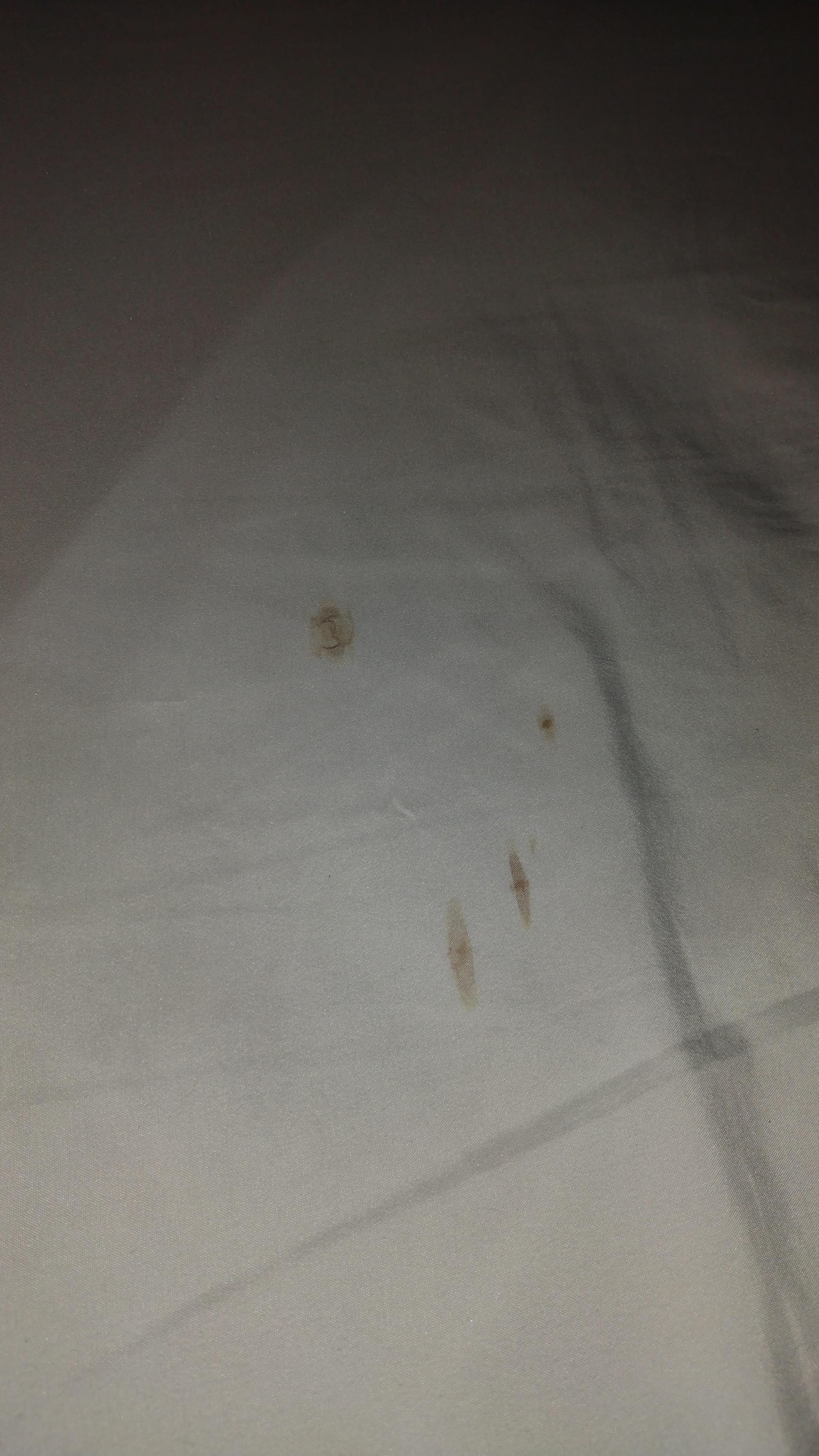 What appeared to be saliva and mucus, not just stains but actual matter. 