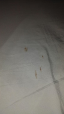 What appeared to be saliva and mucus, not just stains but actual matter.