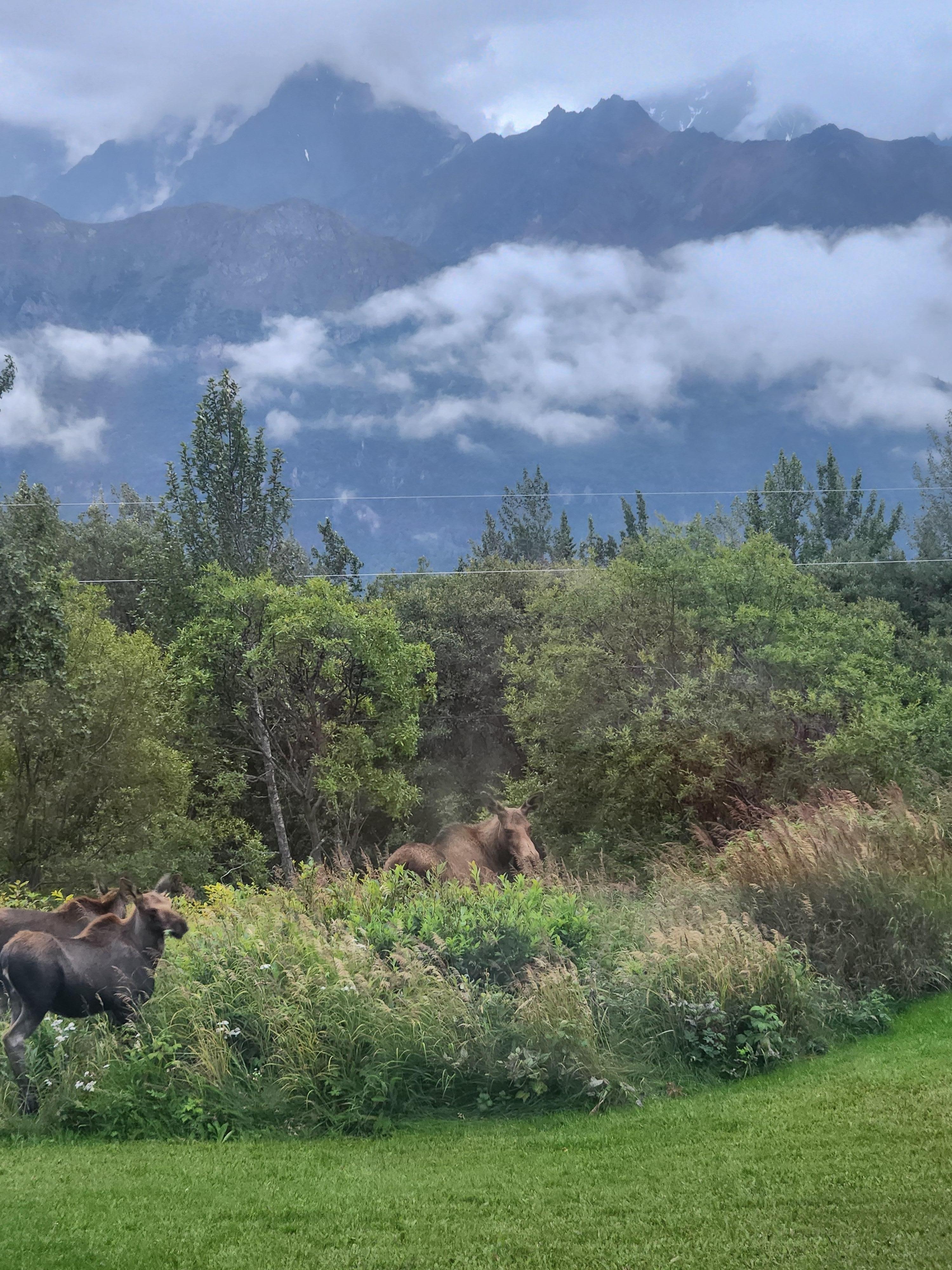 They decided to head down the hill!