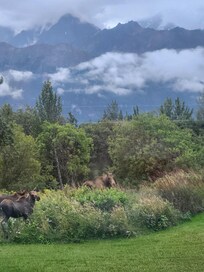They decided to head down the hill!
