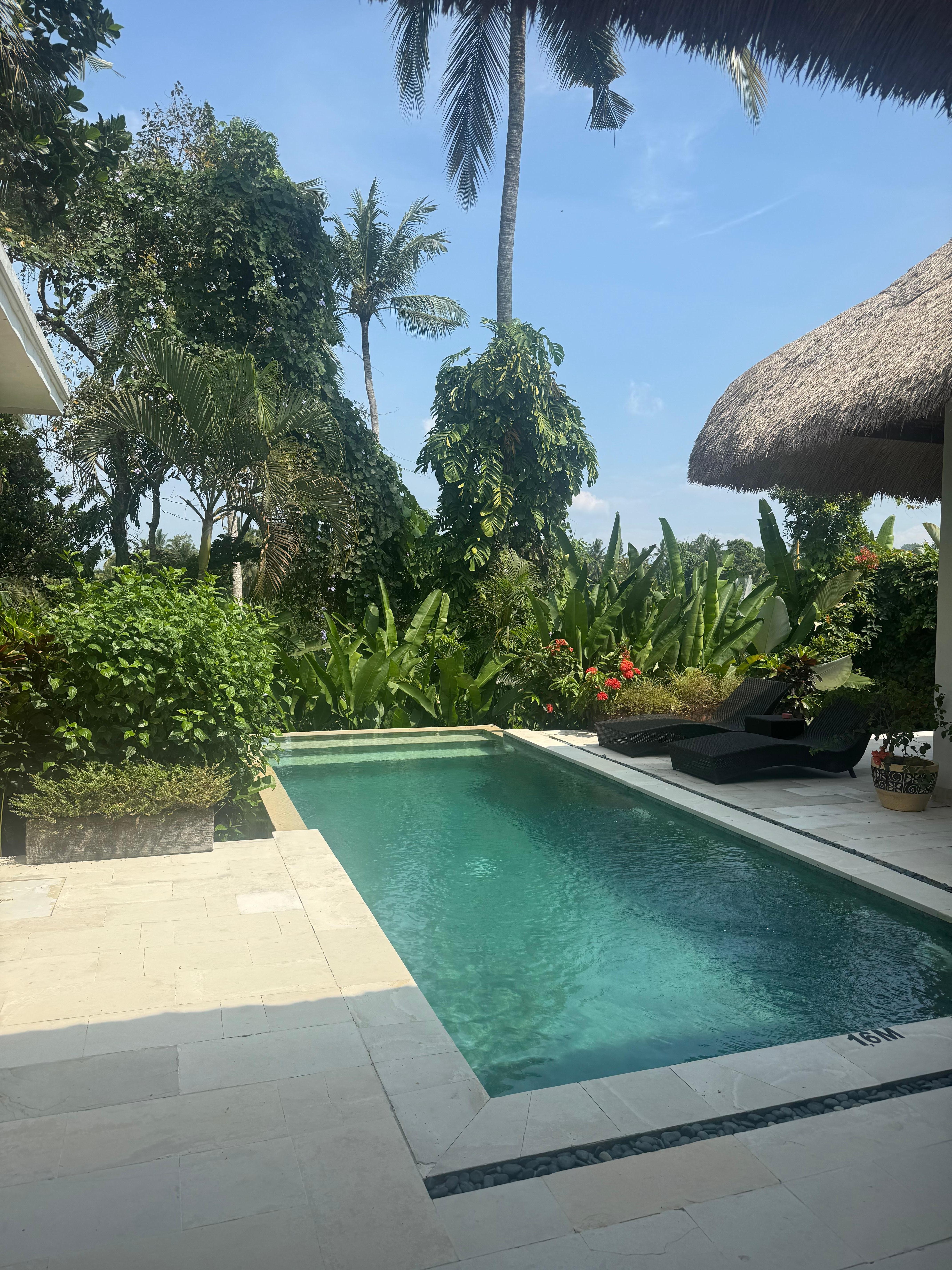 The private pool in the presidential villa.