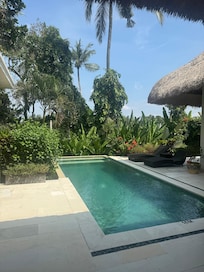The private pool in the presidential villa.