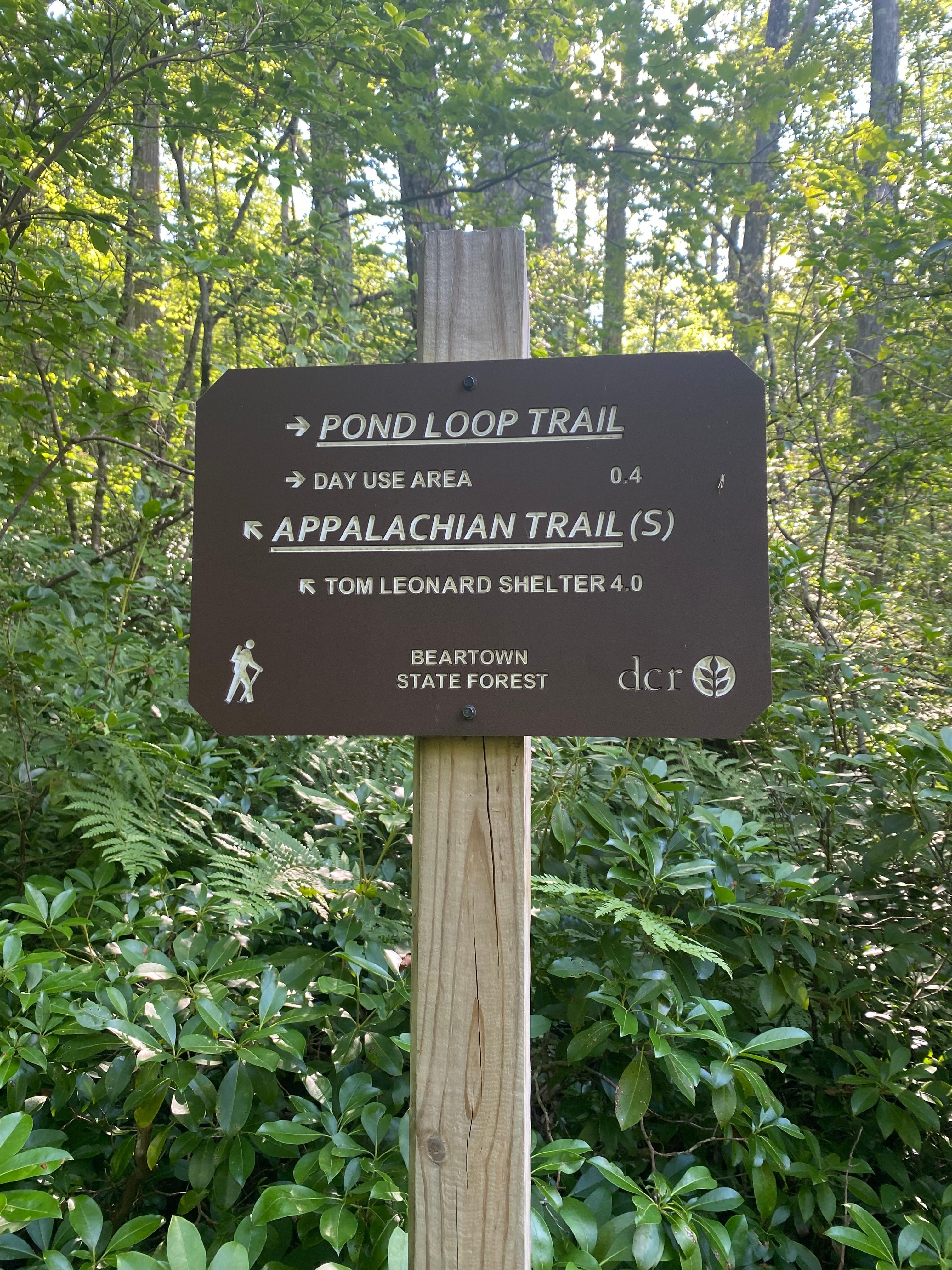 Beartown State Forest