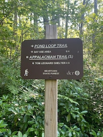 Beartown State Forest