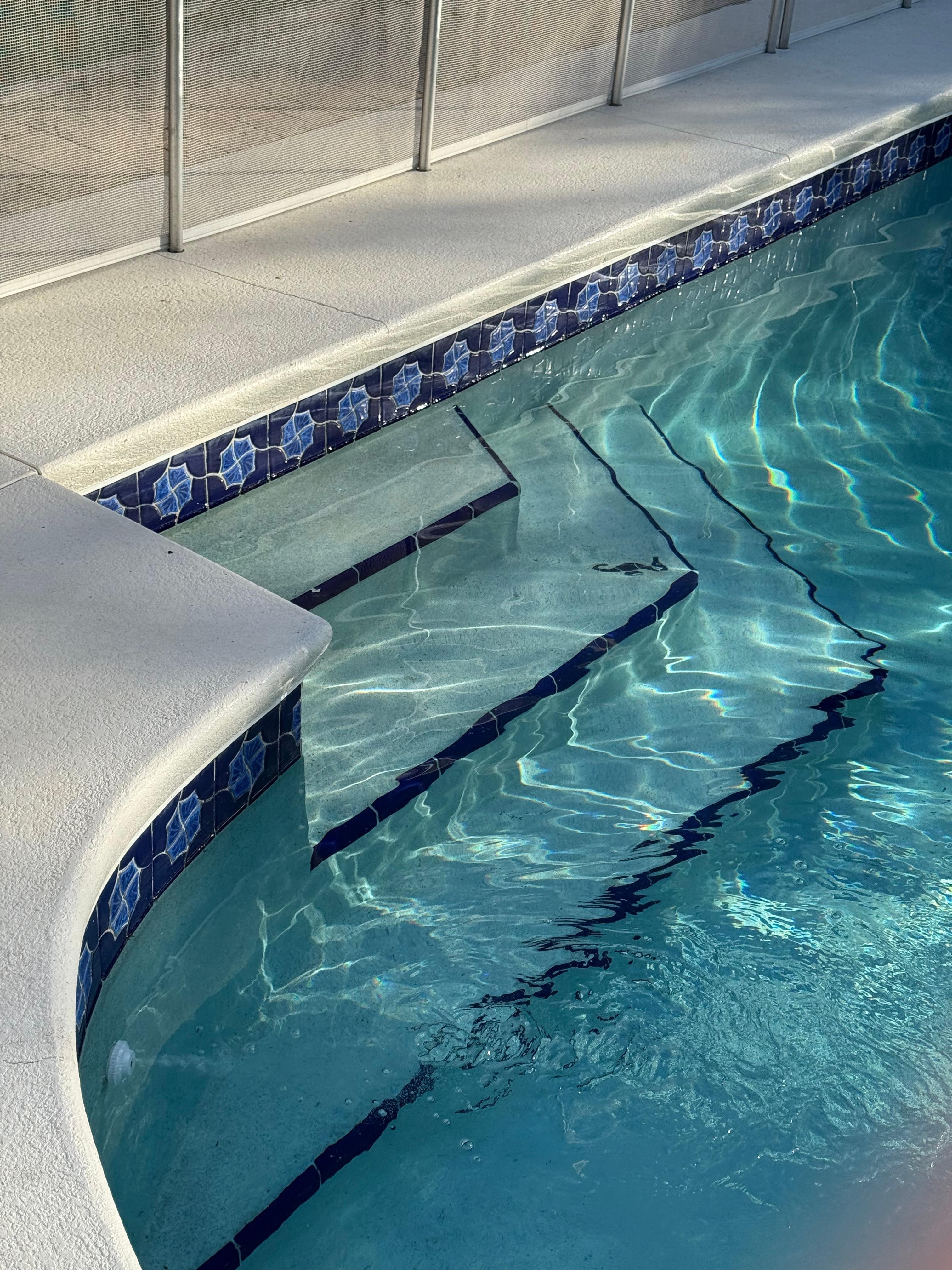 Getting ideas for my pool!