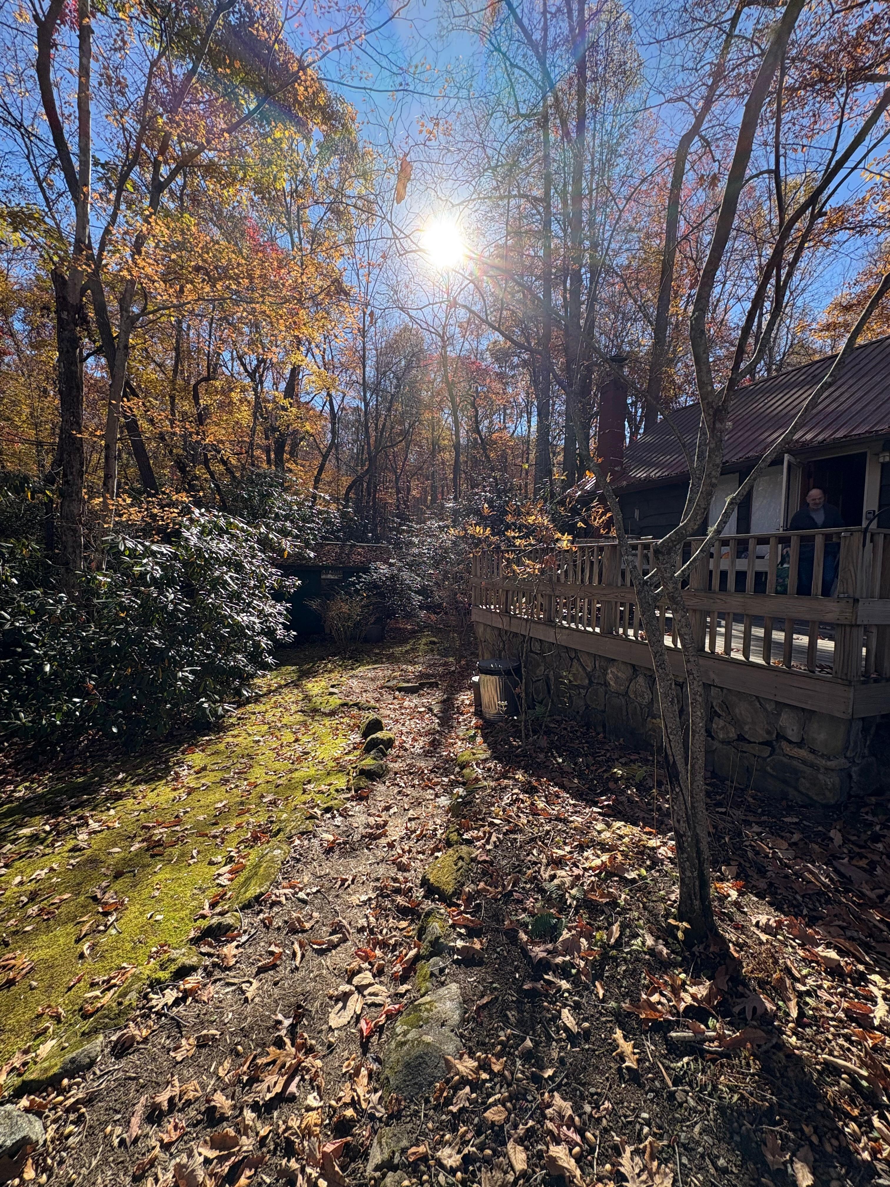 Gorgeous view from the front yard