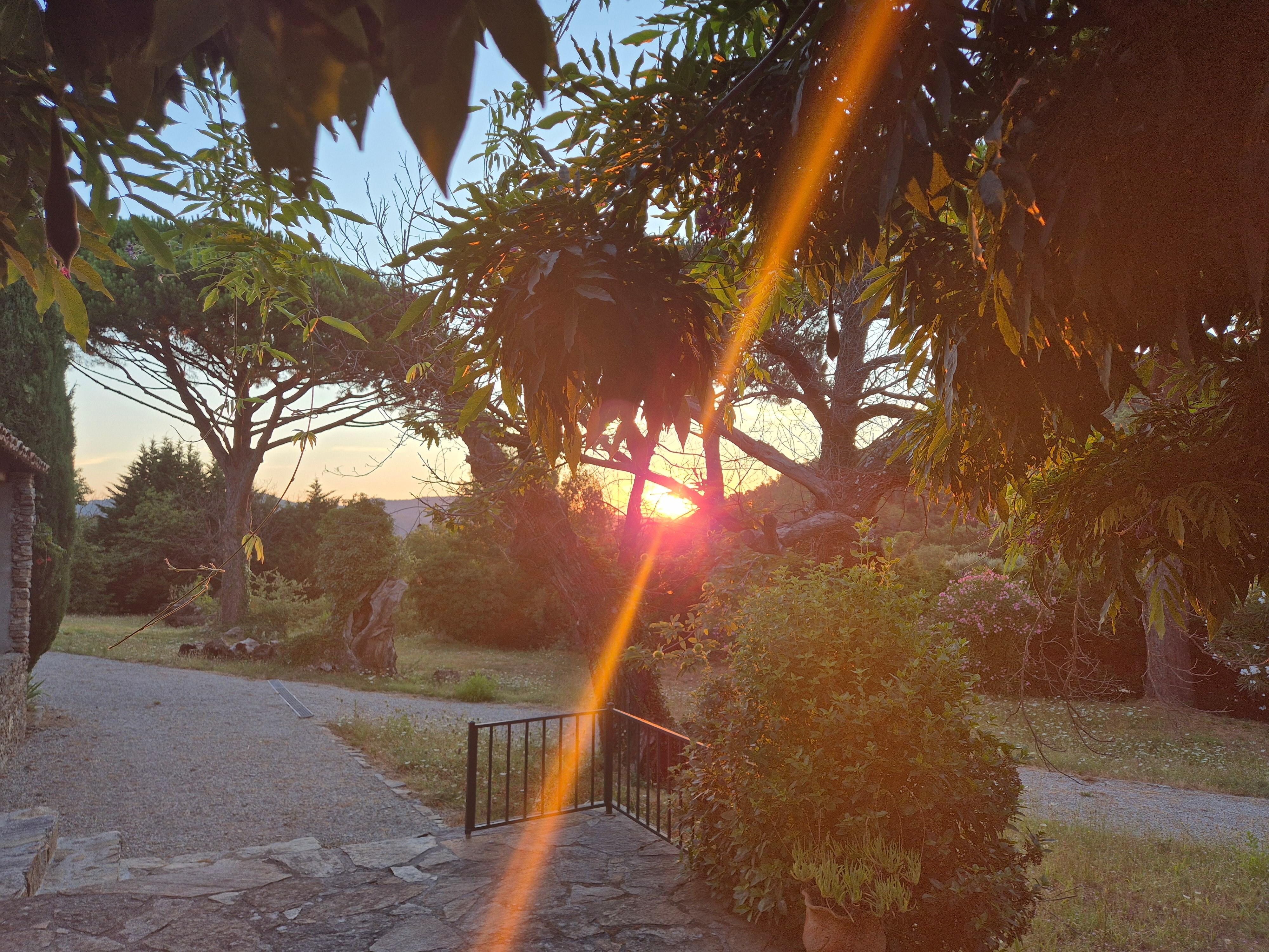 Morgensonne