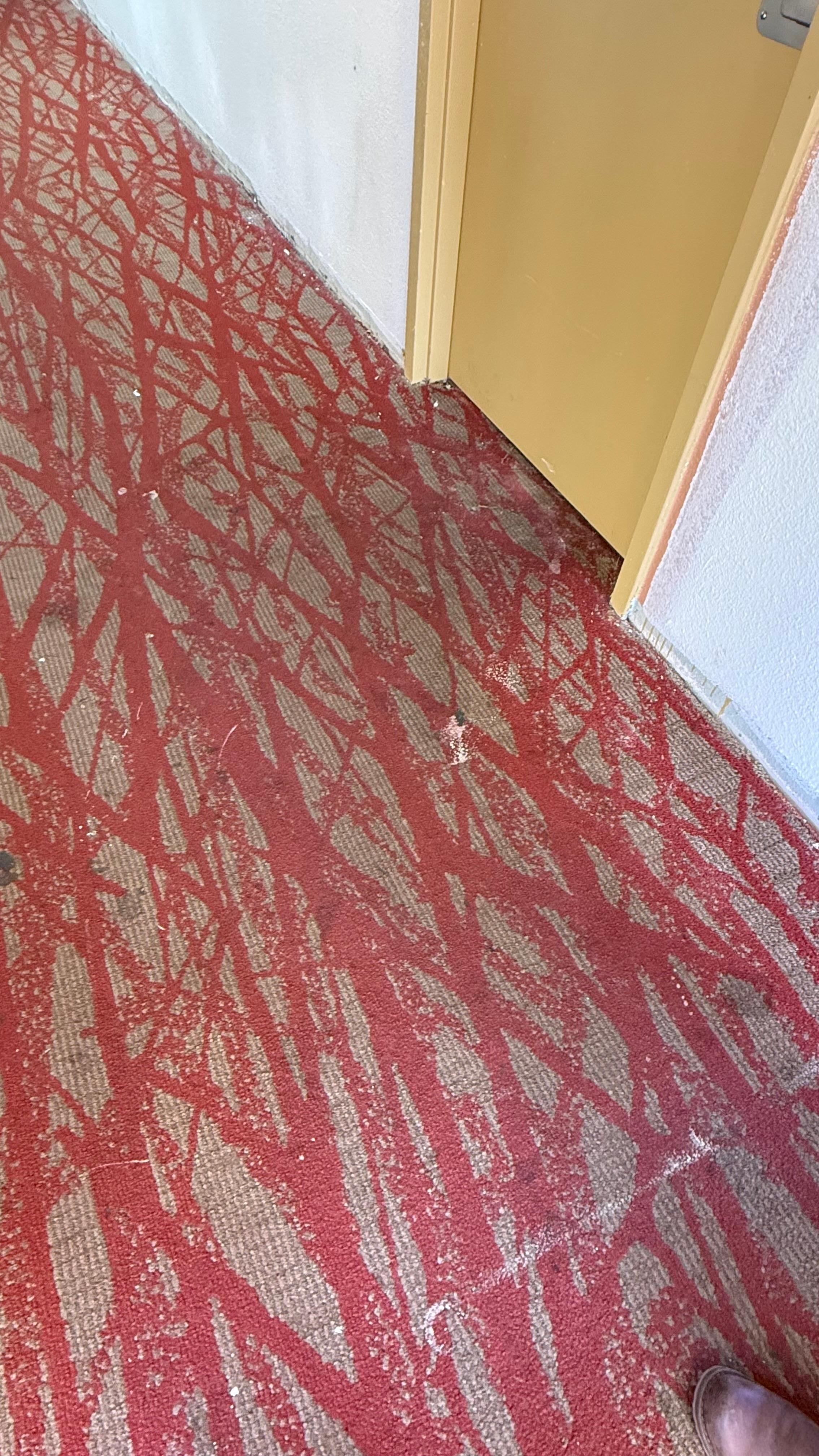 Afuera de mi habitación 