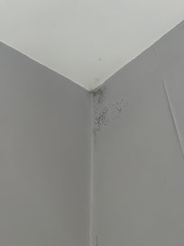 room 20