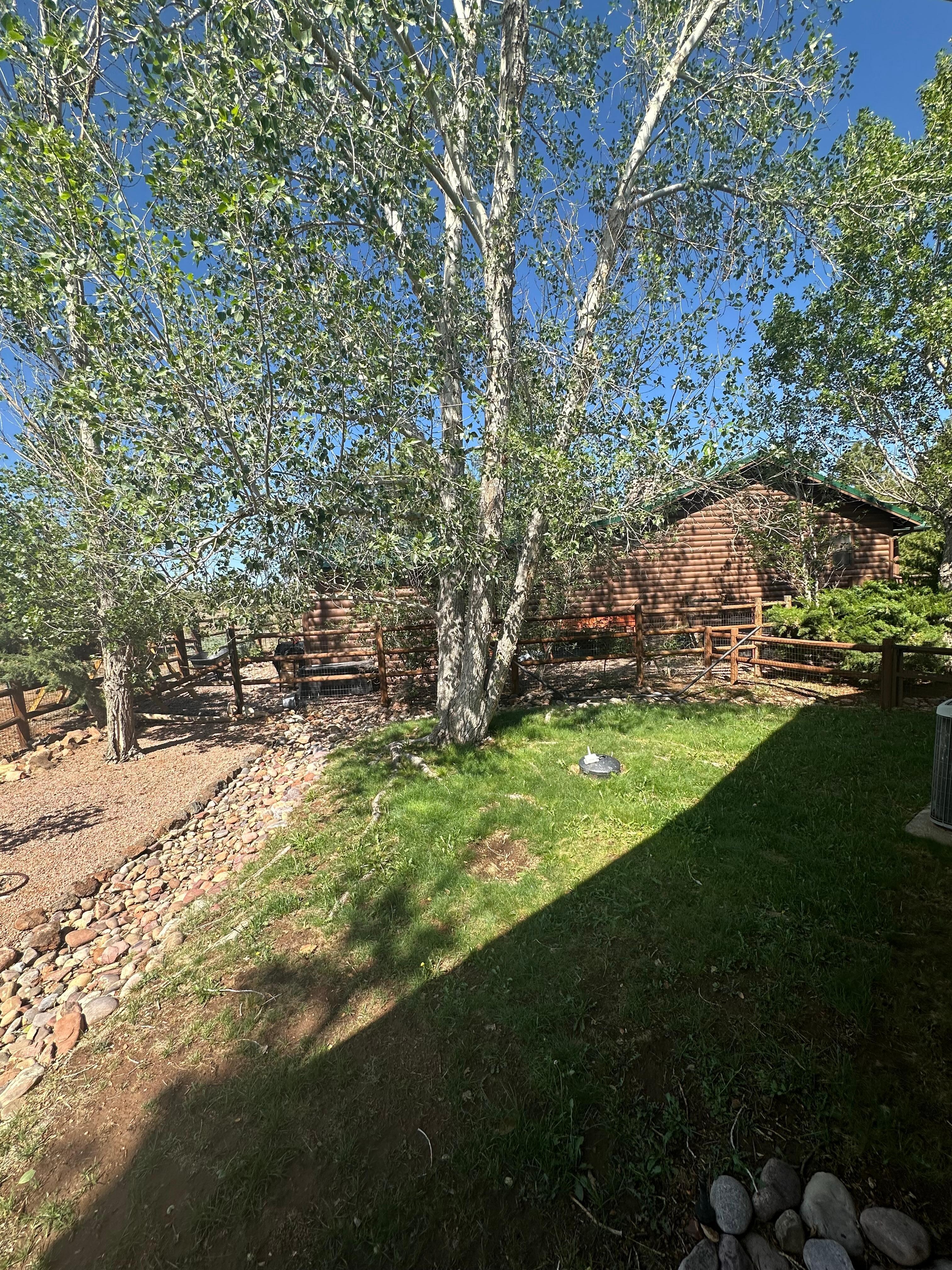 Beautiful yard with trees and views. 
